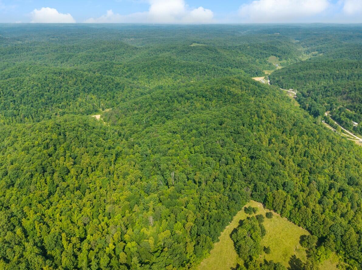 1068 Stingy Fork Rd Road Property Photo 8