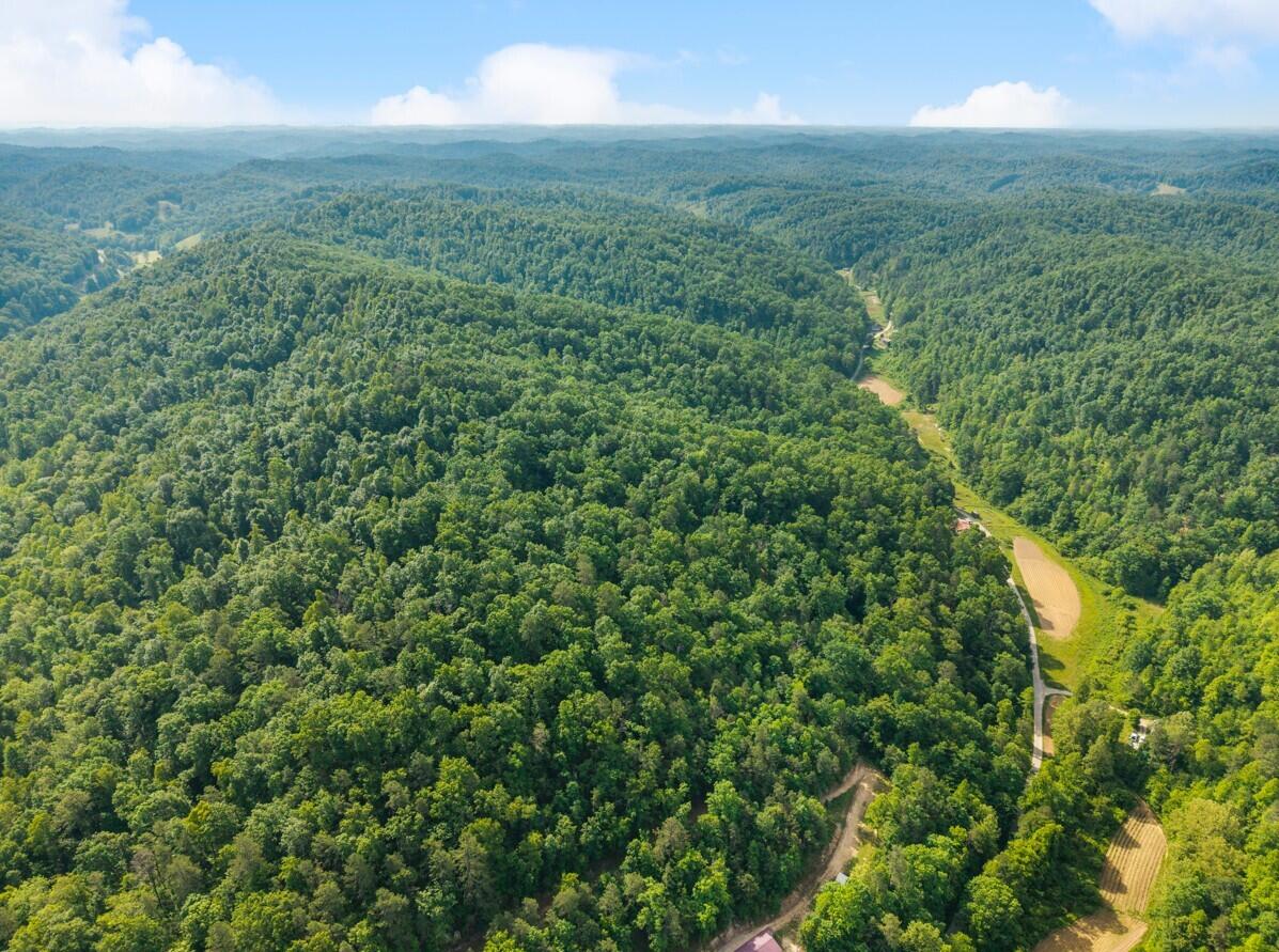 1068 Stingy Fork Rd Road Property Photo 10