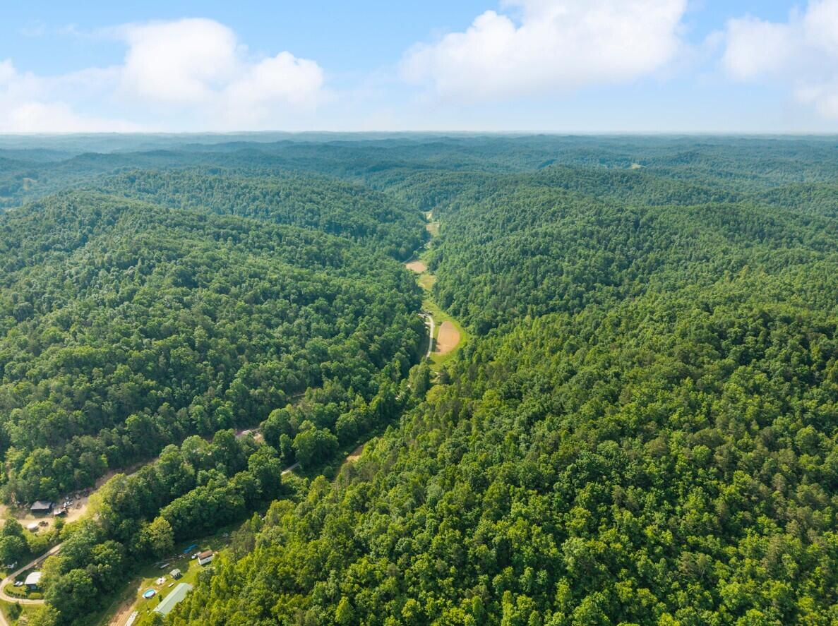 1068 Stingy Fork Rd Road Property Photo 11