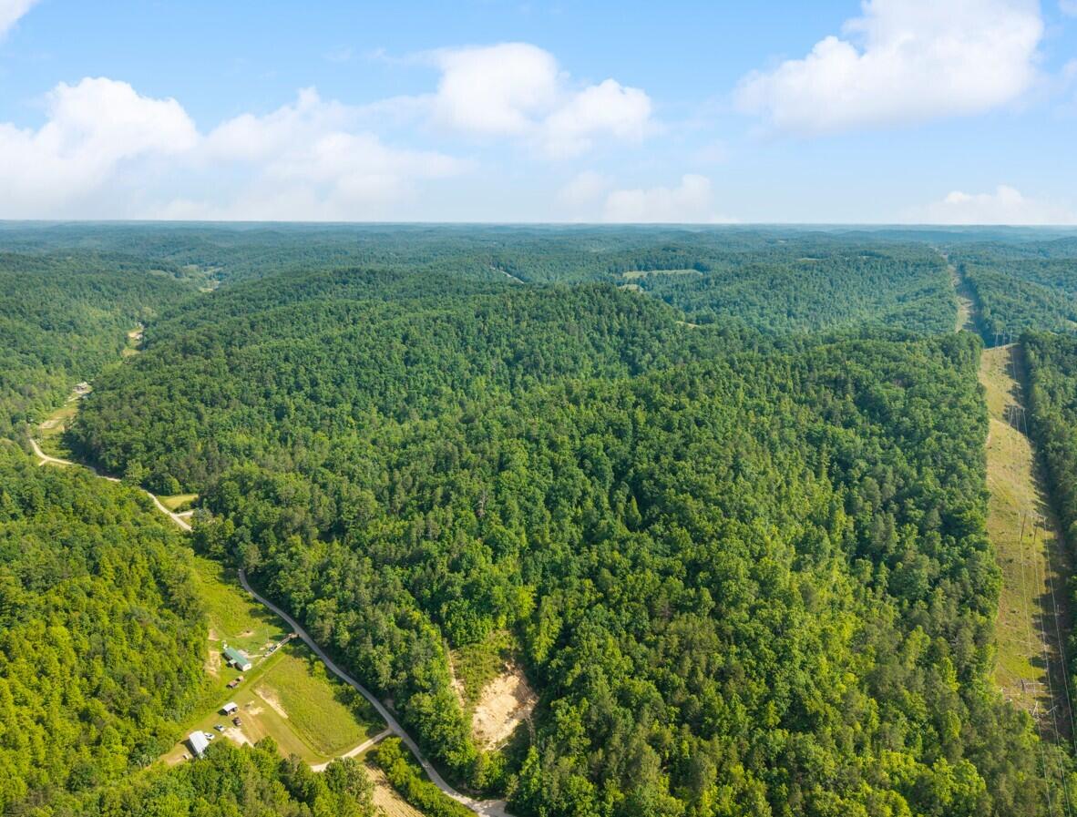 1068 Stingy Fork Rd Road Property Photo 12
