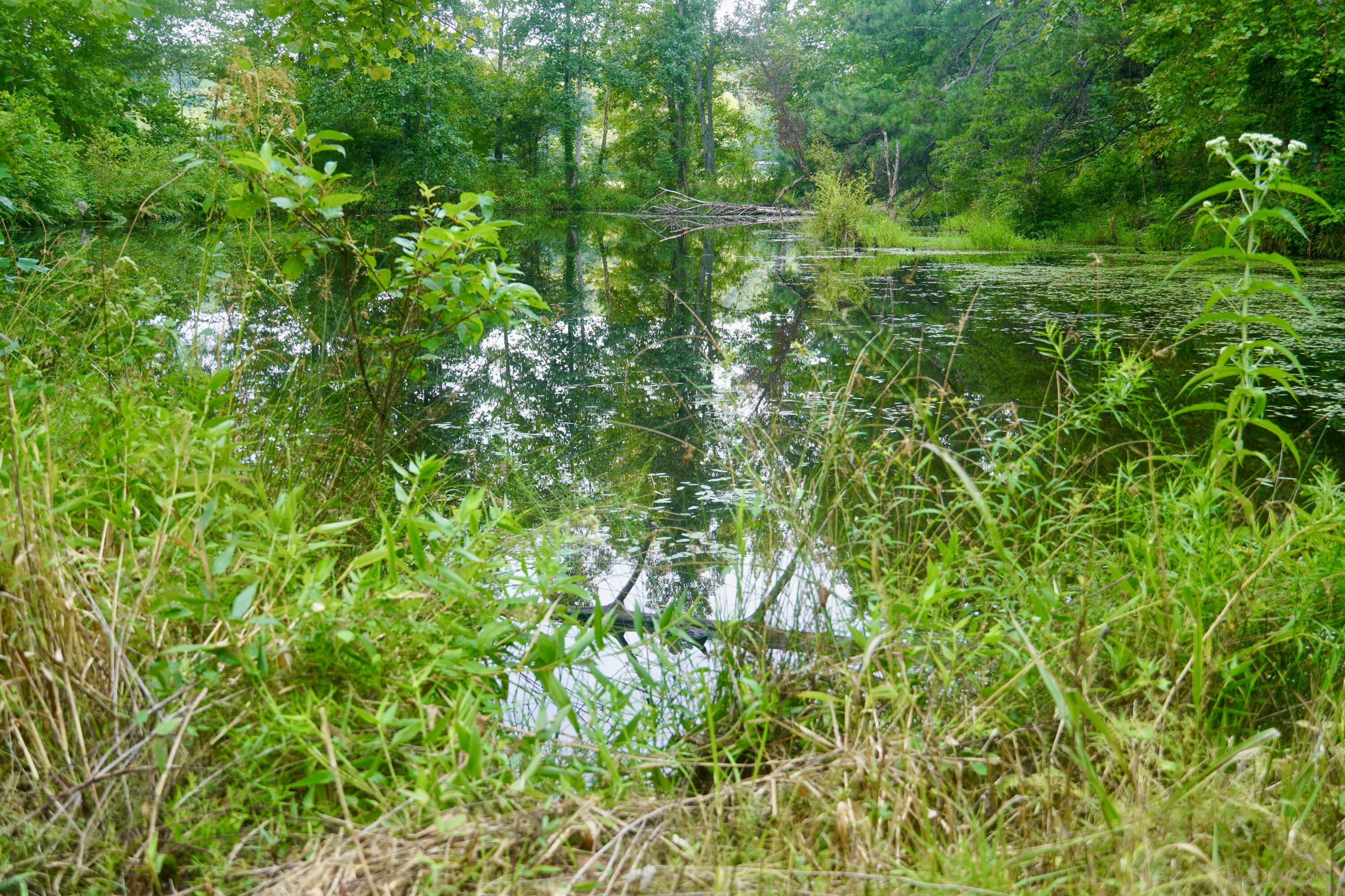 89 Gum Branch Property Photo 17