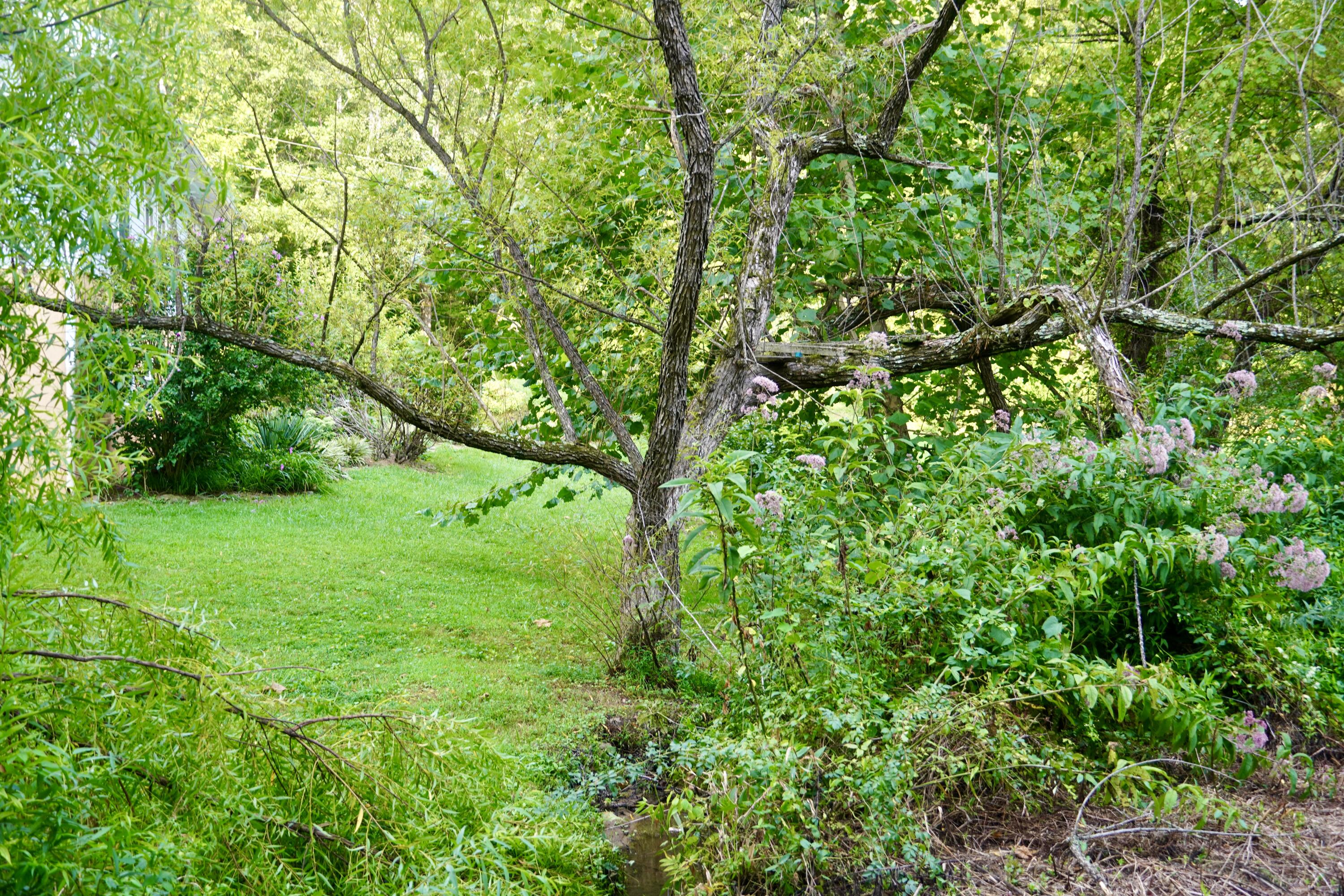 89 Gum Branch Property Photo 20