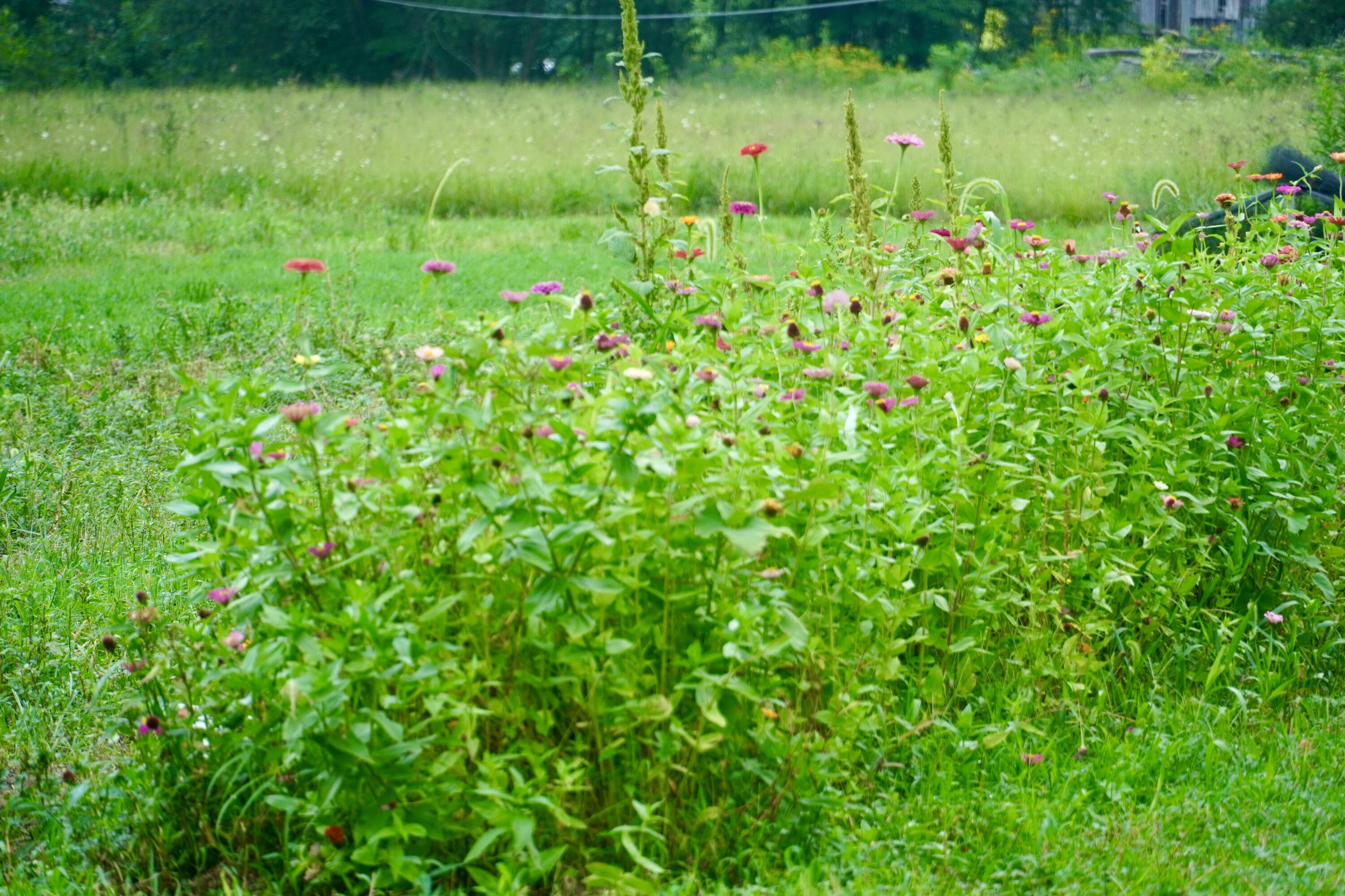 89 Gum Branch Property Photo 21
