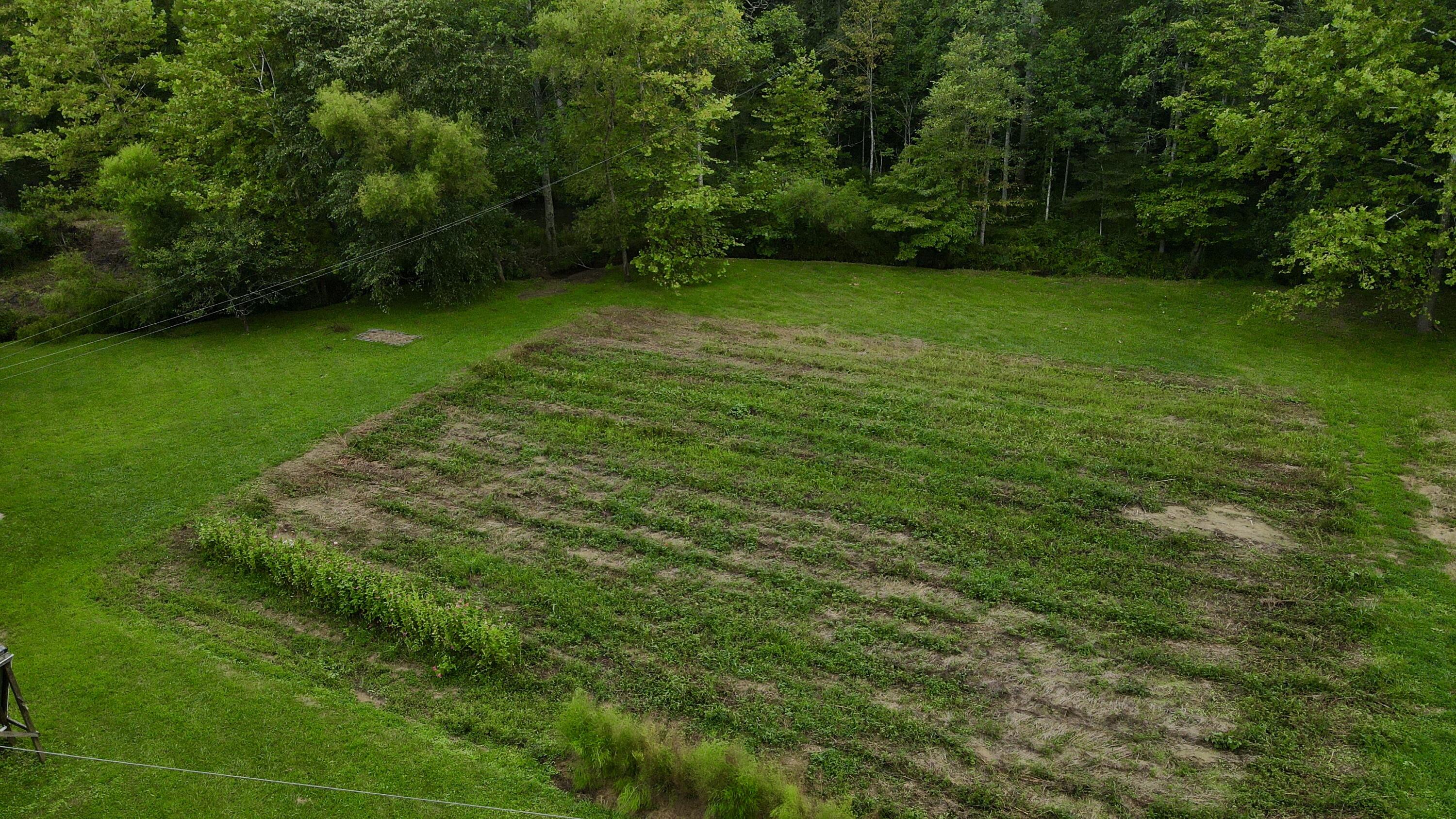 89 Gum Branch Property Photo 23