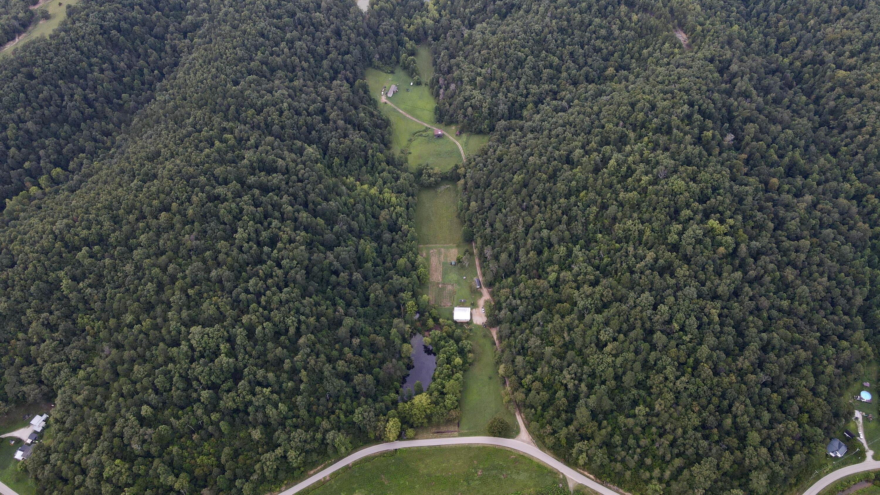 89 Gum Branch Property Photo 26