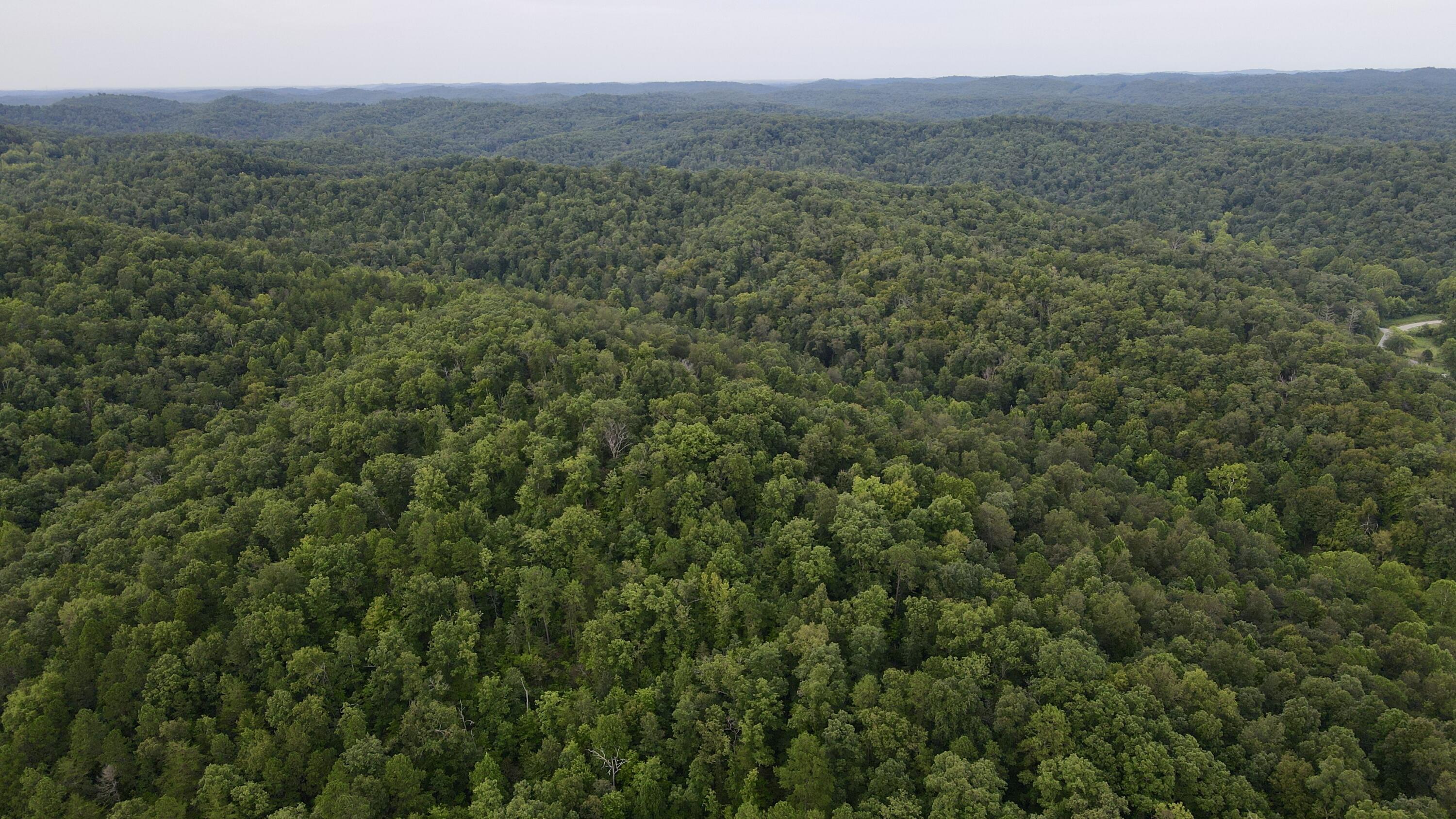 89 Gum Branch Property Photo 27