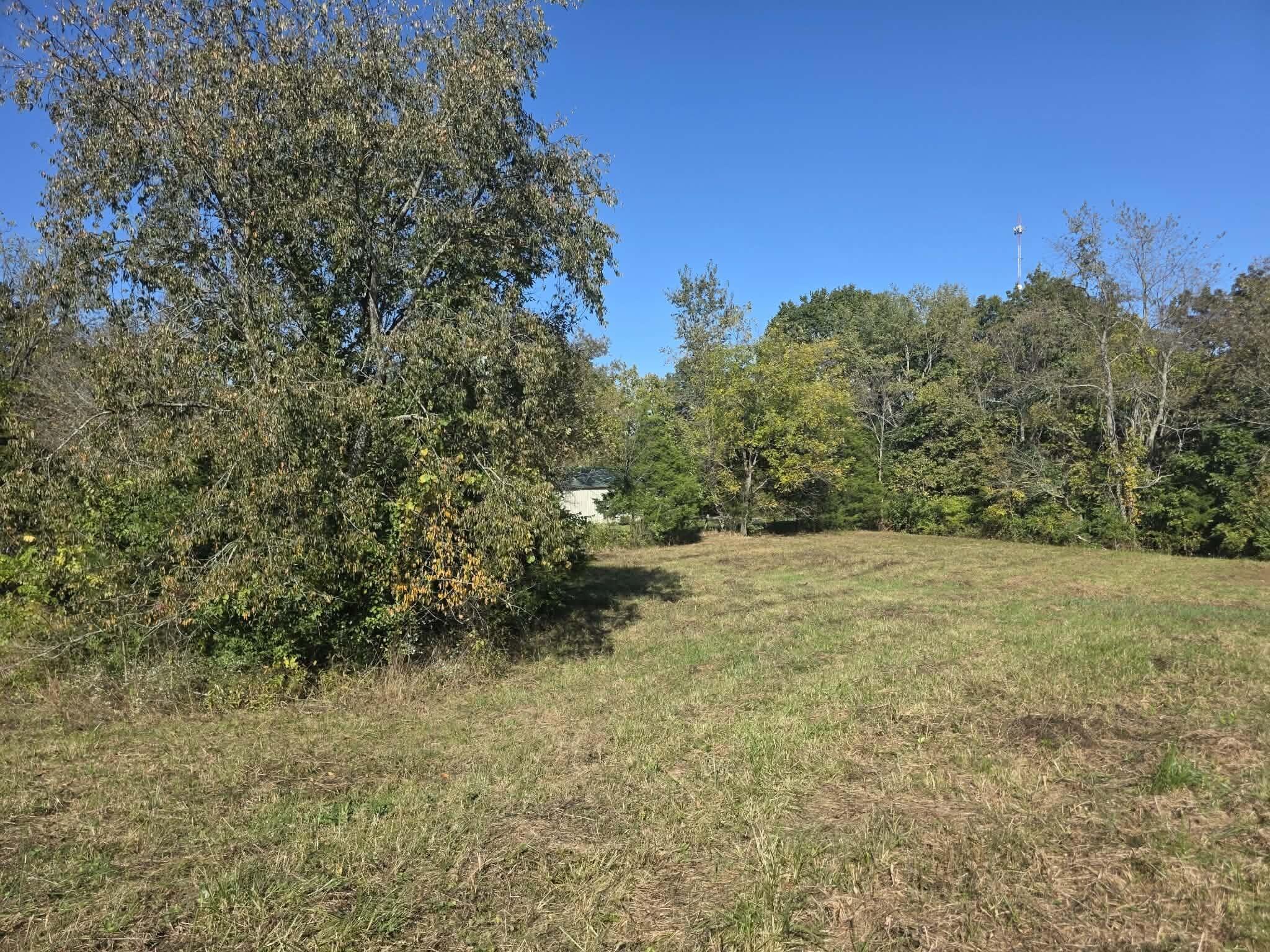 1011 Hammonds Creek Road Property Photo 5