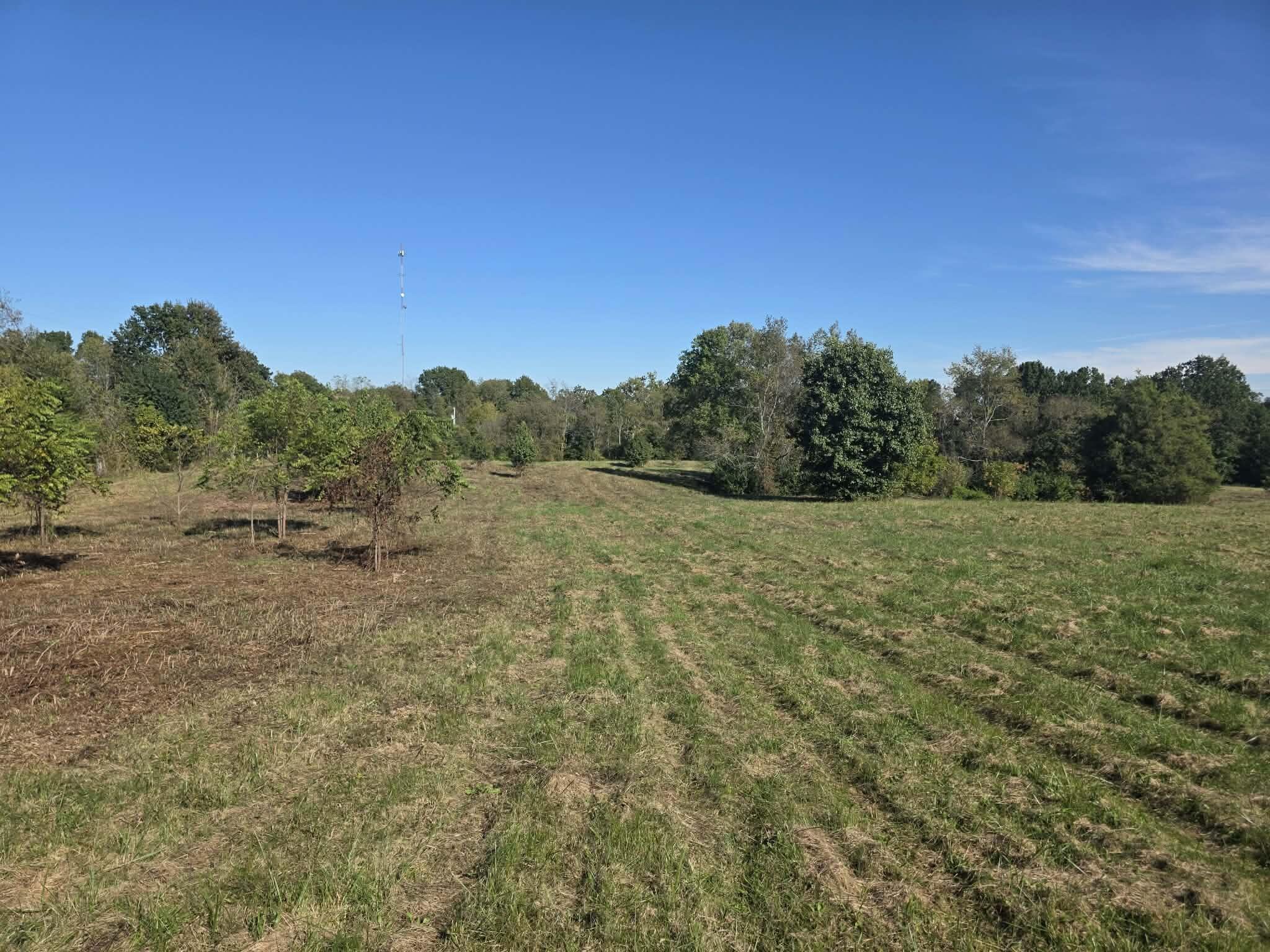 1011 Hammonds Creek Road Property Photo 6