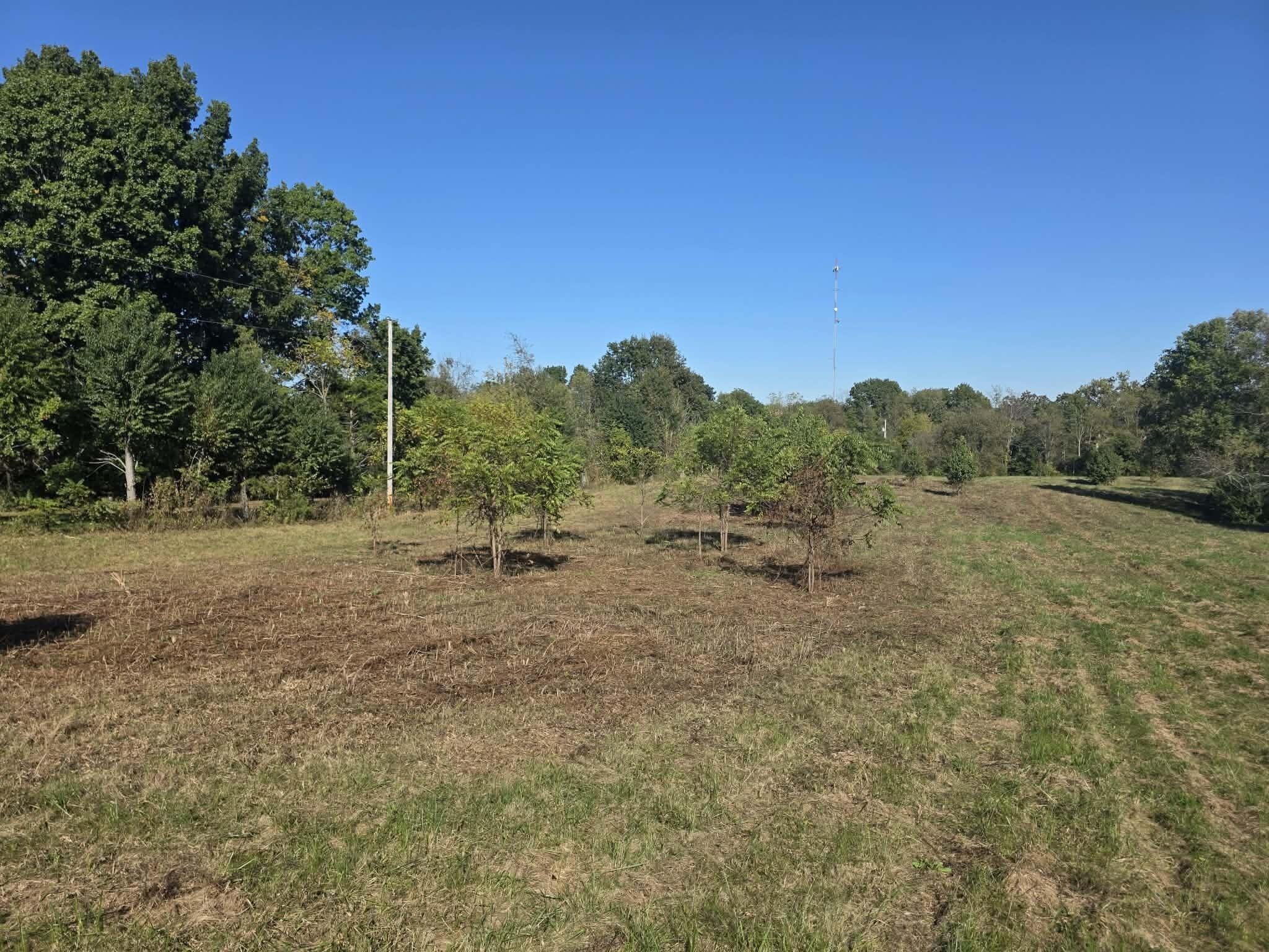1011 Hammonds Creek Road Property Photo 7