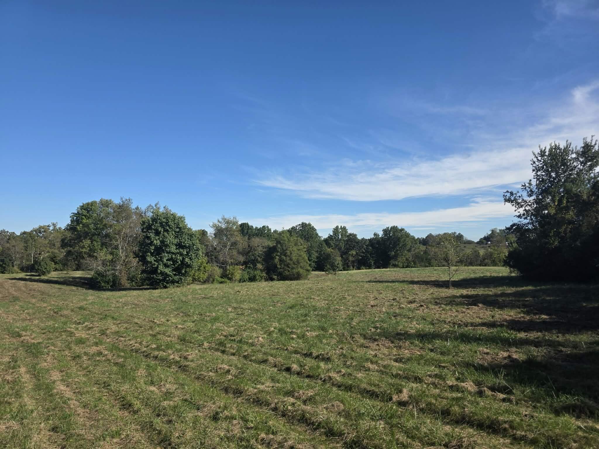 1011 Hammonds Creek Road Property Photo 8