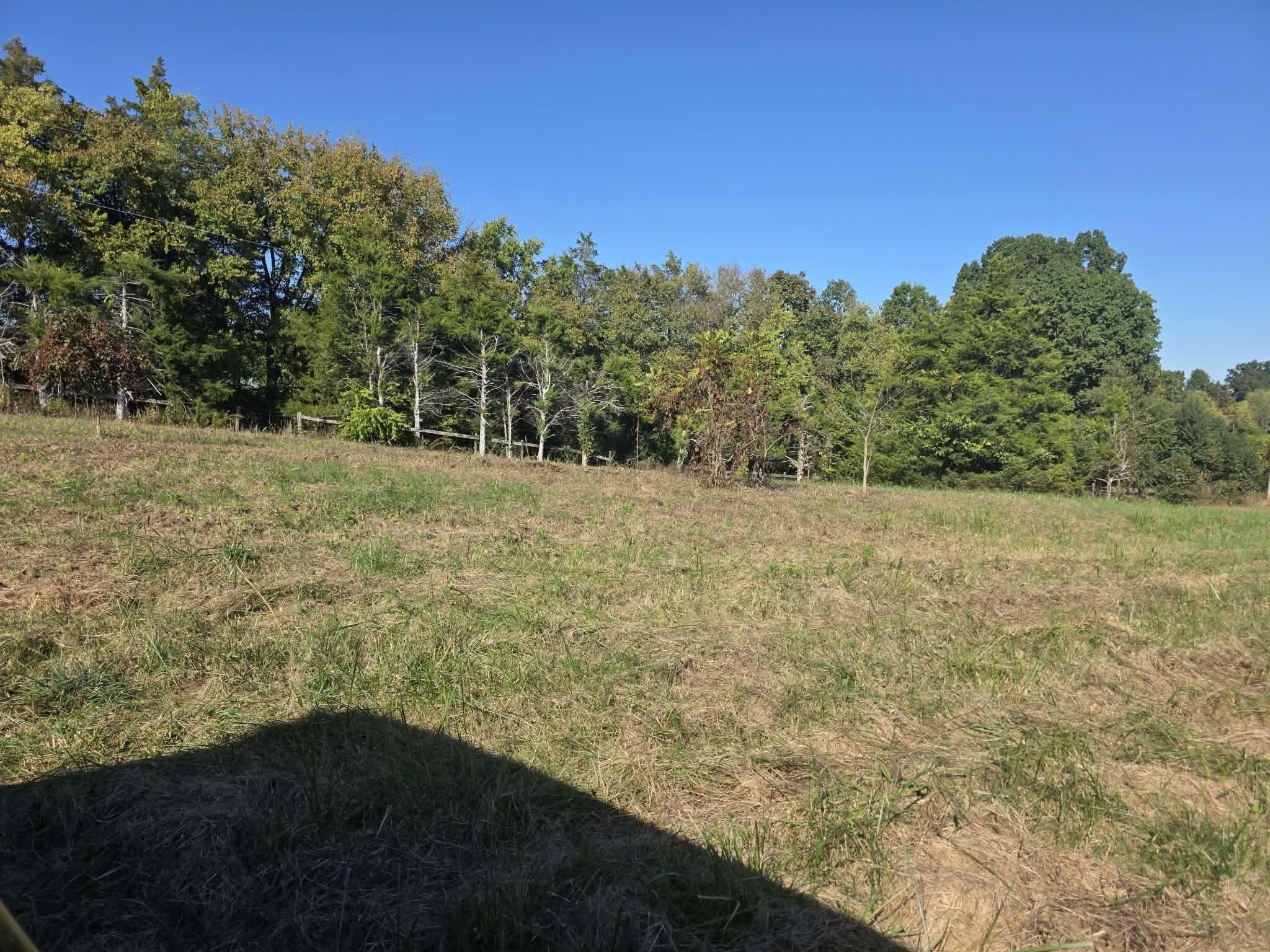 1011 Hammonds Creek Road Property Photo 9