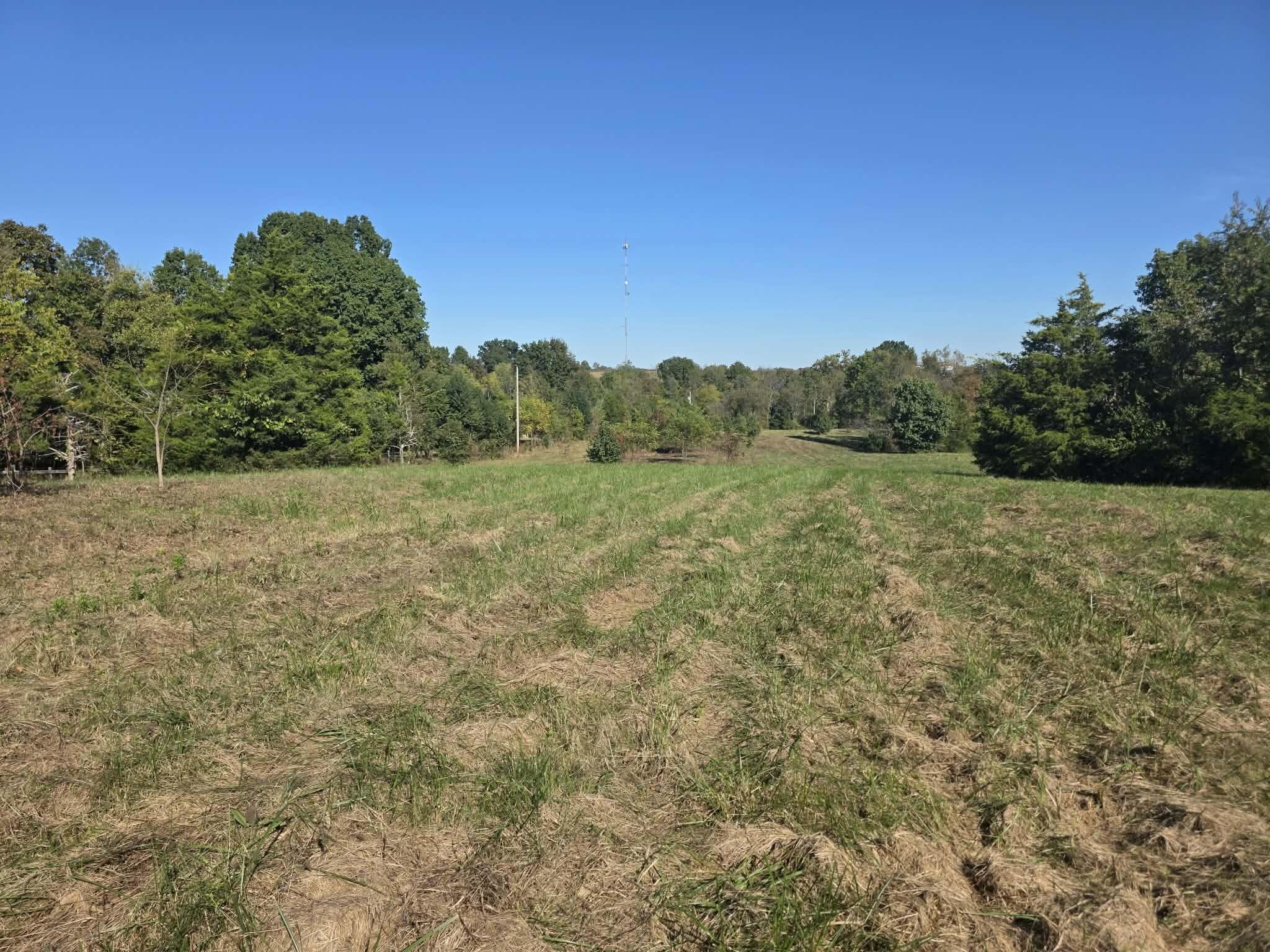 1011 Hammonds Creek Road Property Photo 10
