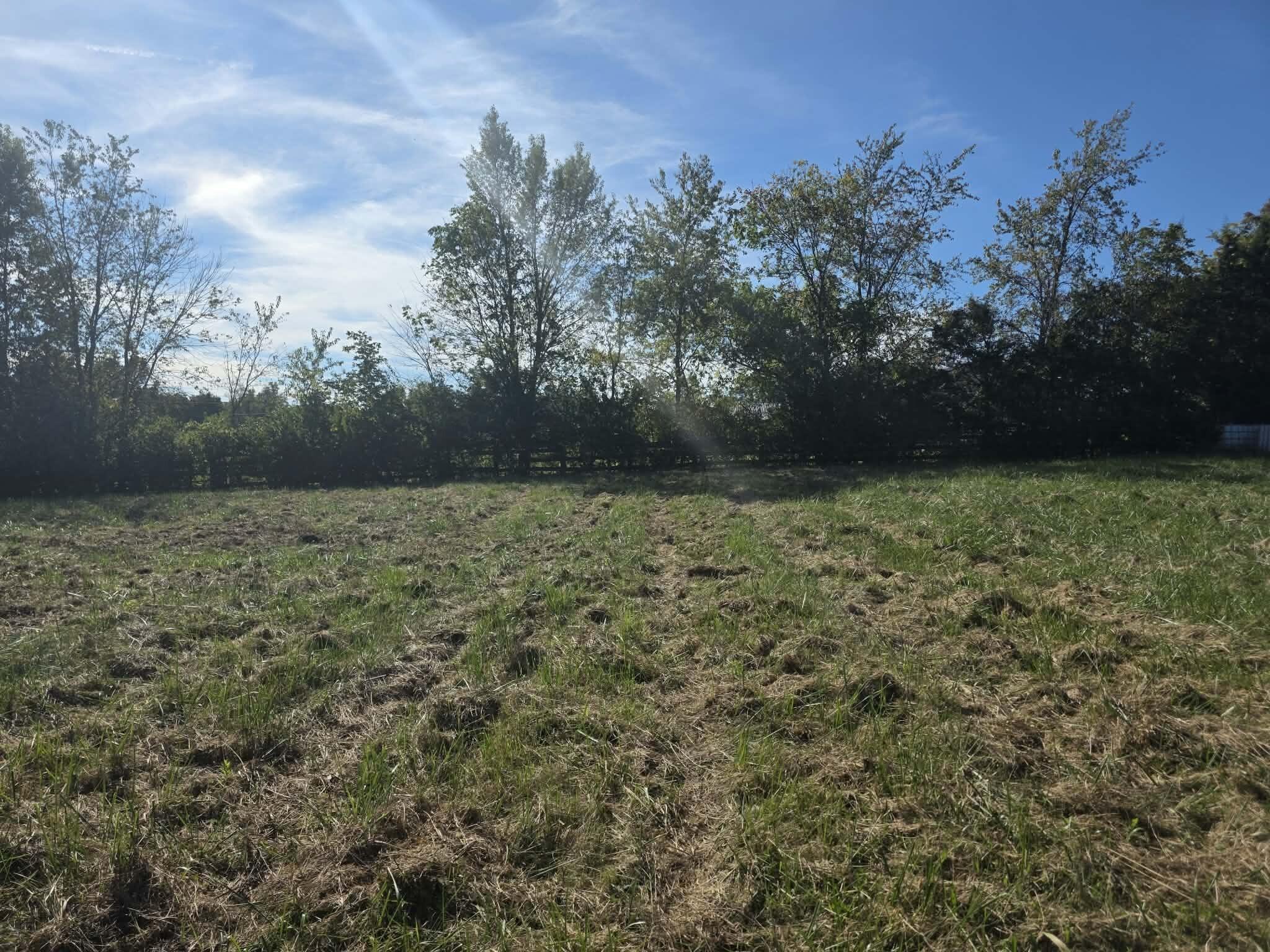 1011 Hammonds Creek Road Property Photo 11