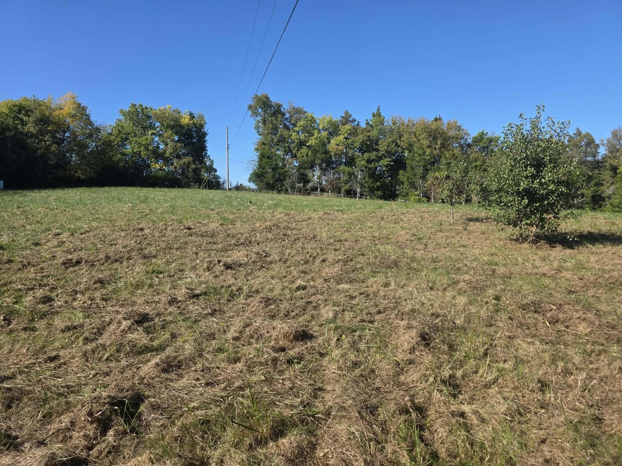 1011 Hammonds Creek Road Property Photo 12