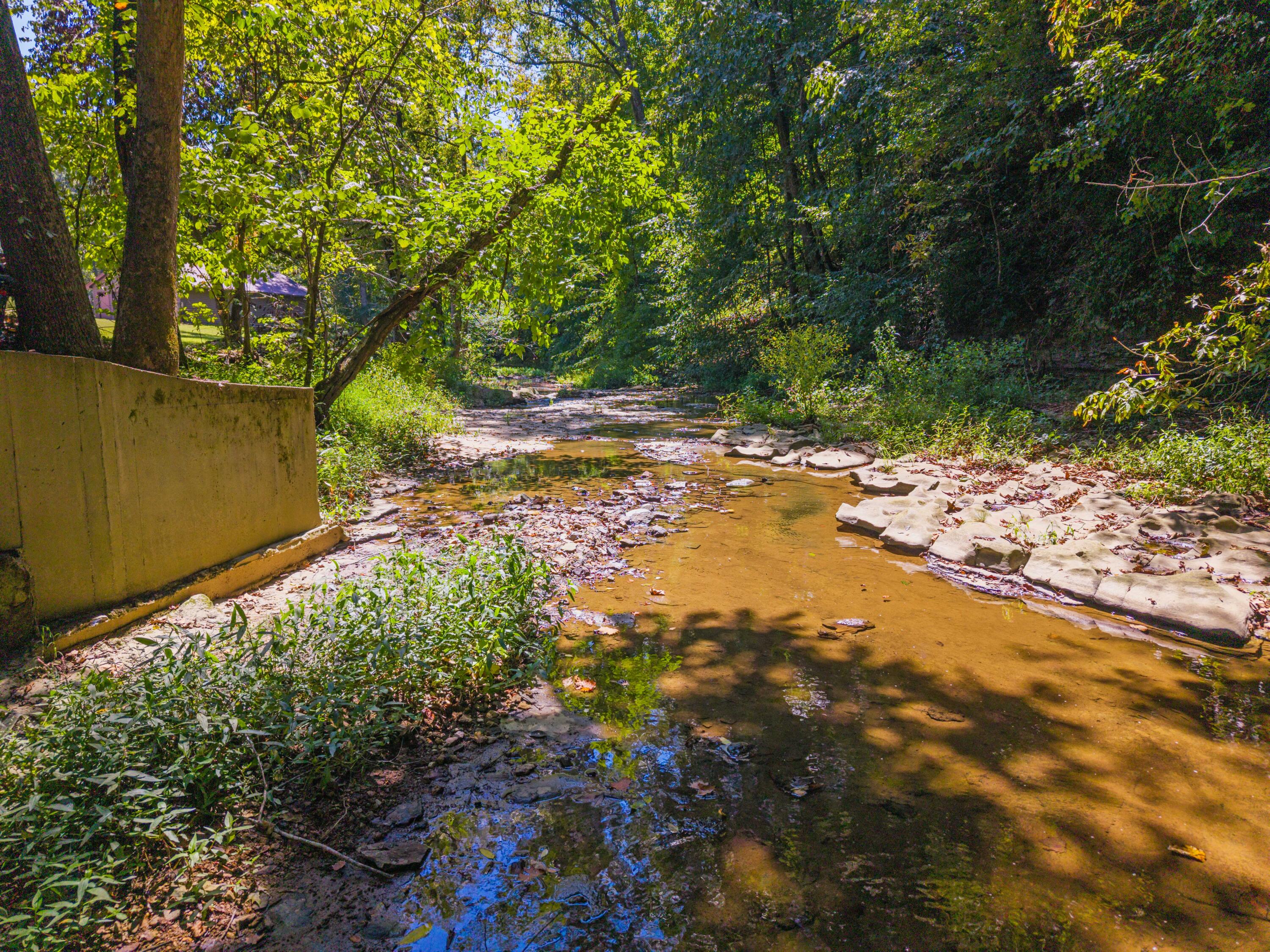 26 Big Clifty Creek Road Property Photo 5