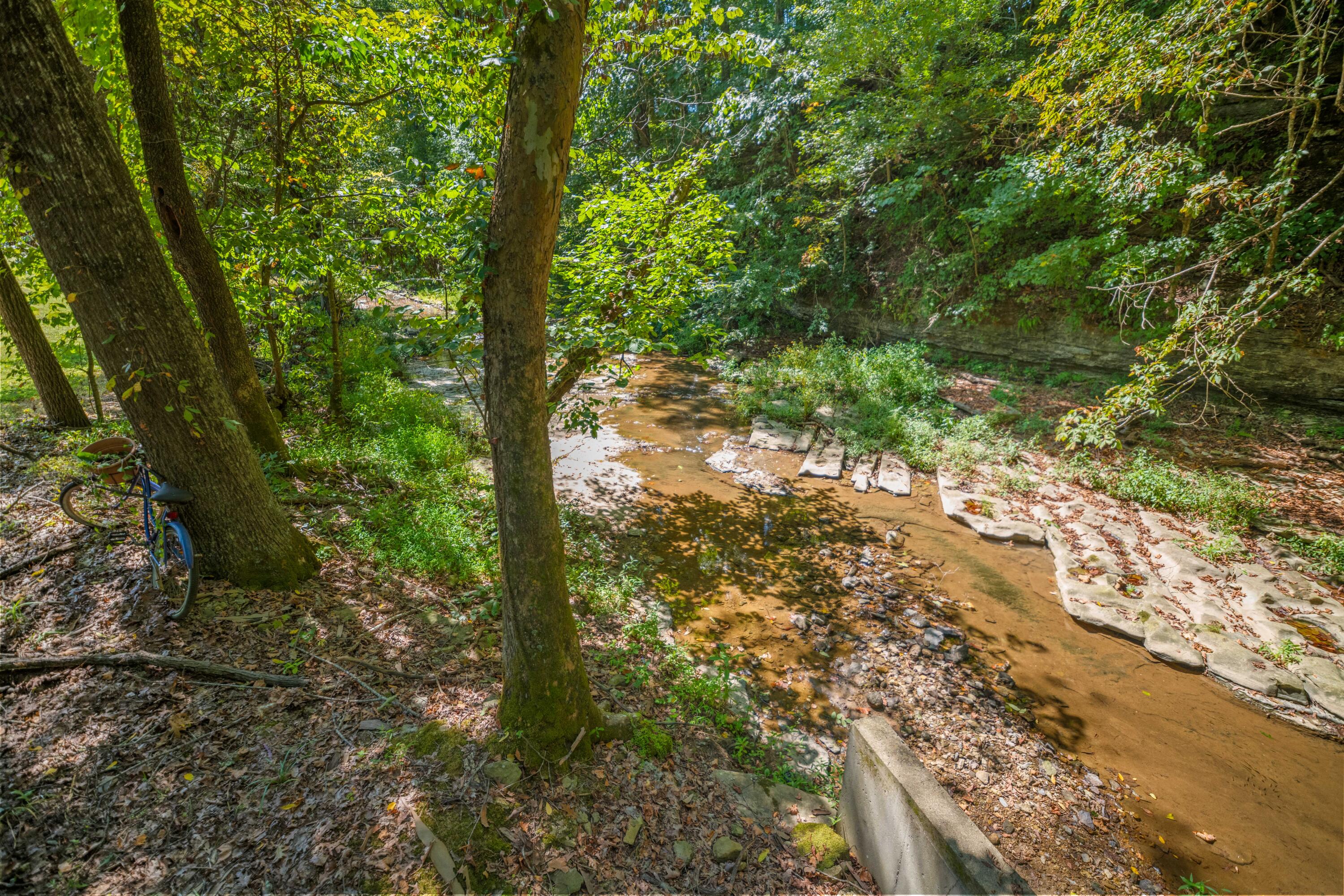 26 Big Clifty Creek Road Property Photo 6