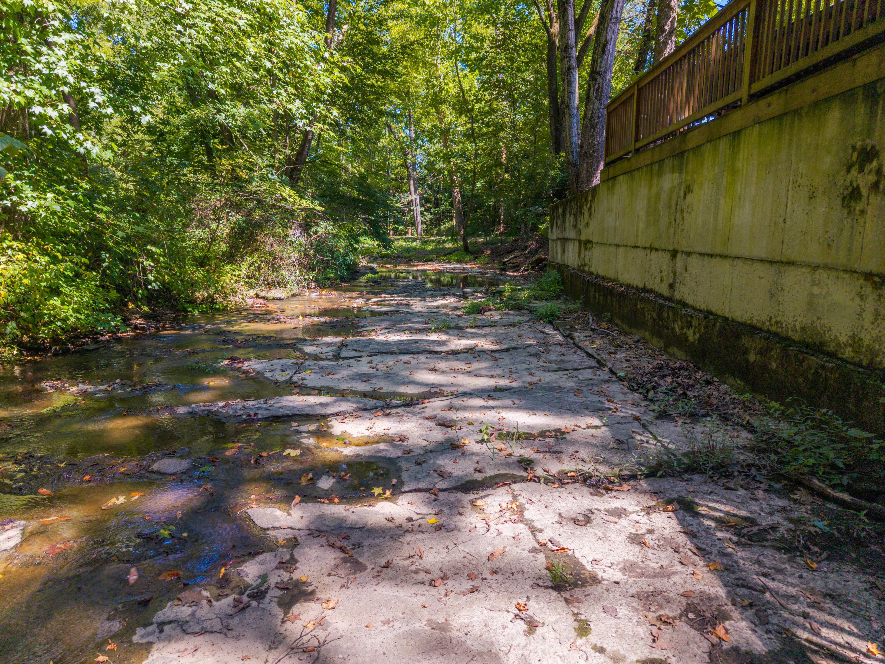 26 Big Clifty Creek Road Property Photo 51
