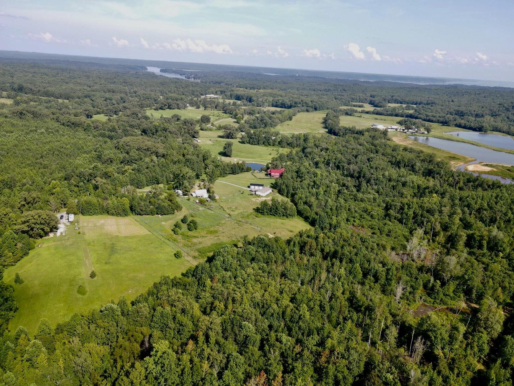 1785 Billie Branch Road Property Photo 4
