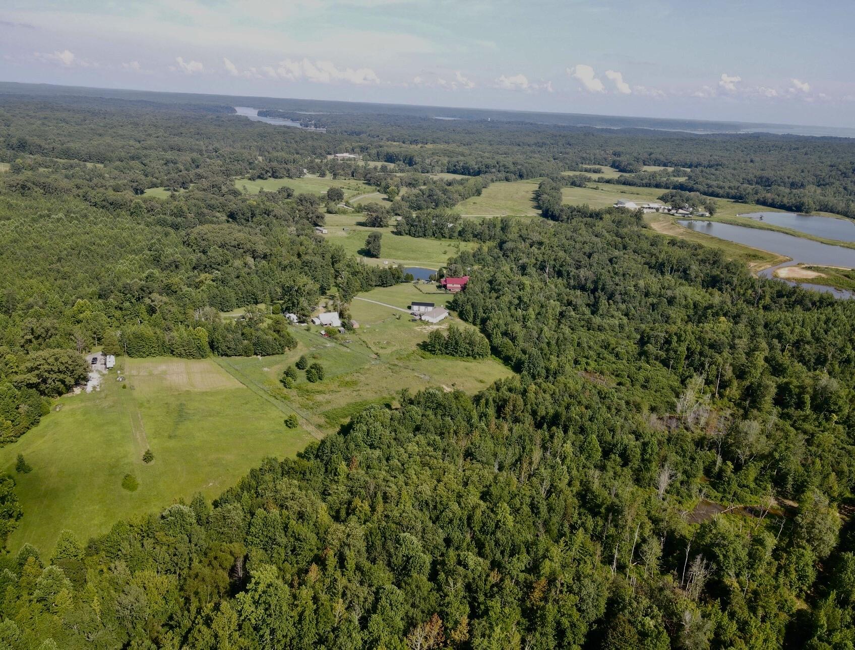 1785 Billie Branch Road Property Photo 5