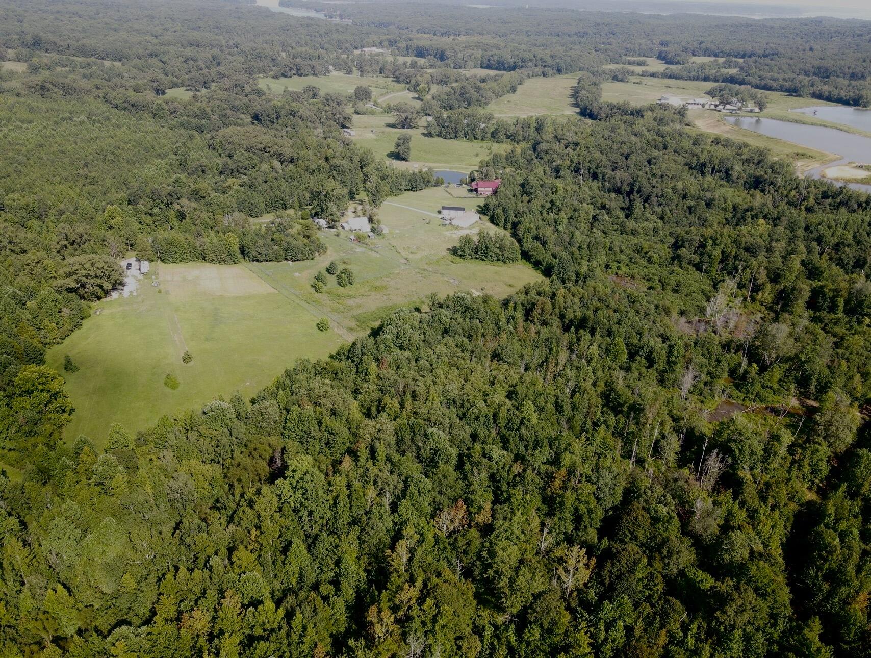 1785 Billie Branch Road Property Photo 6