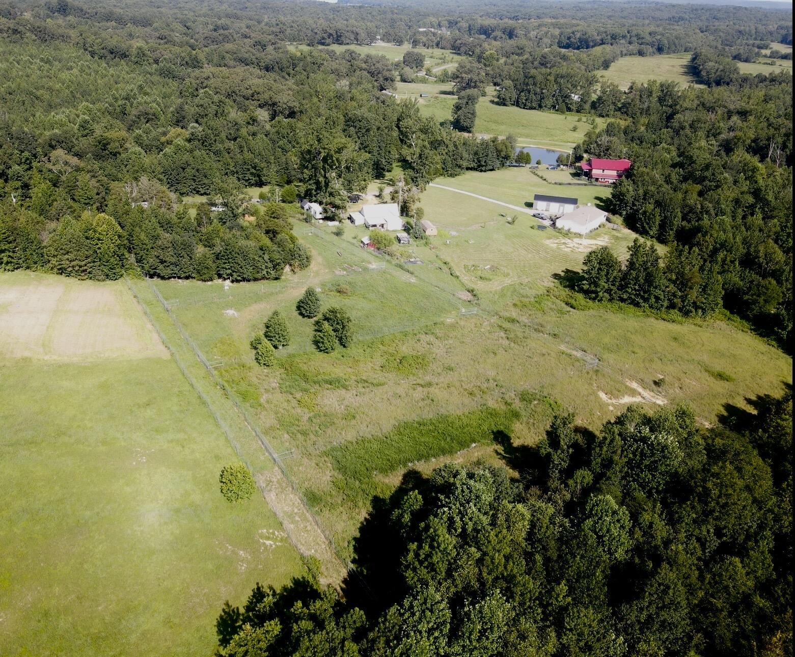 1785 Billie Branch Road Property Photo 7
