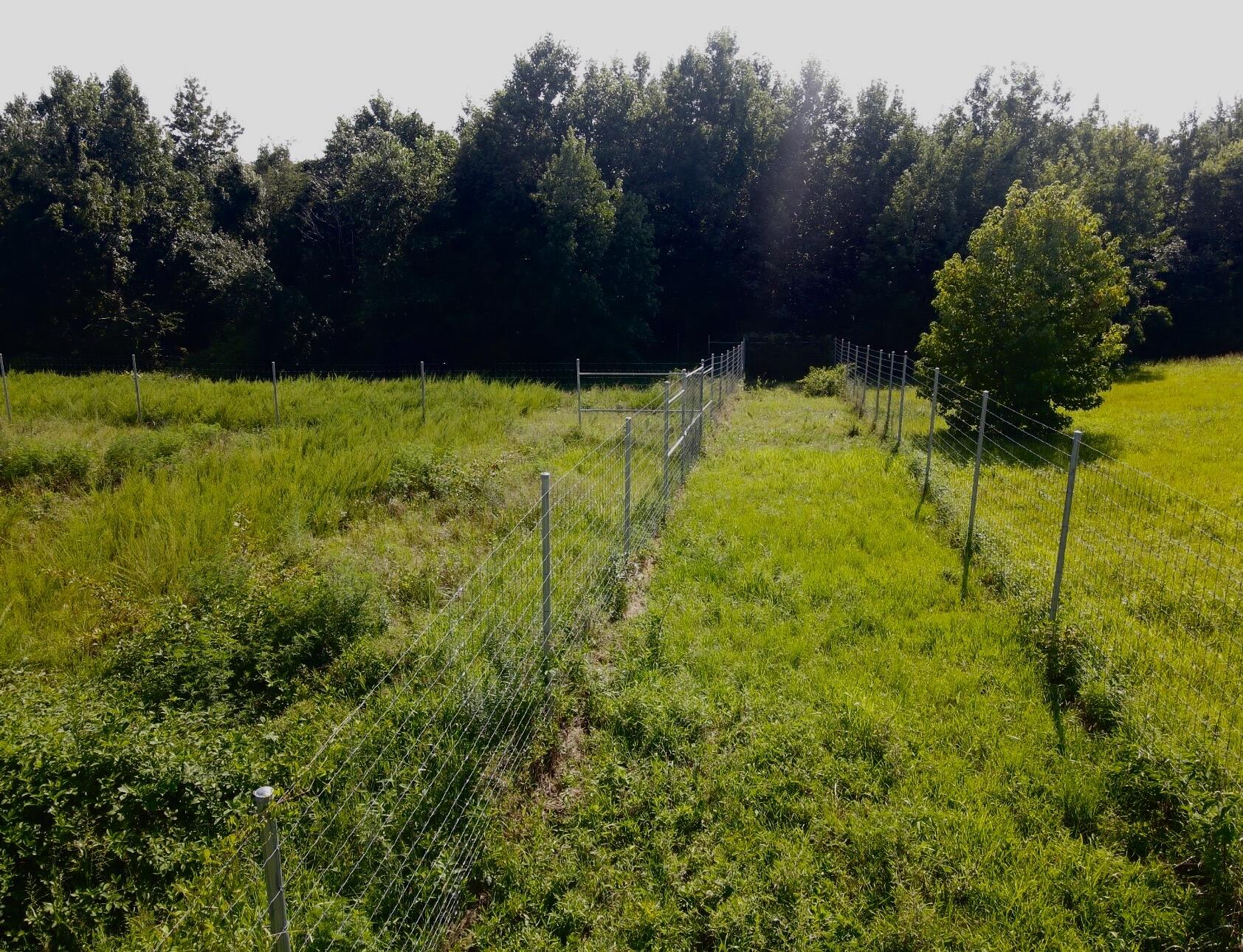 1785 Billie Branch Road Property Photo 11
