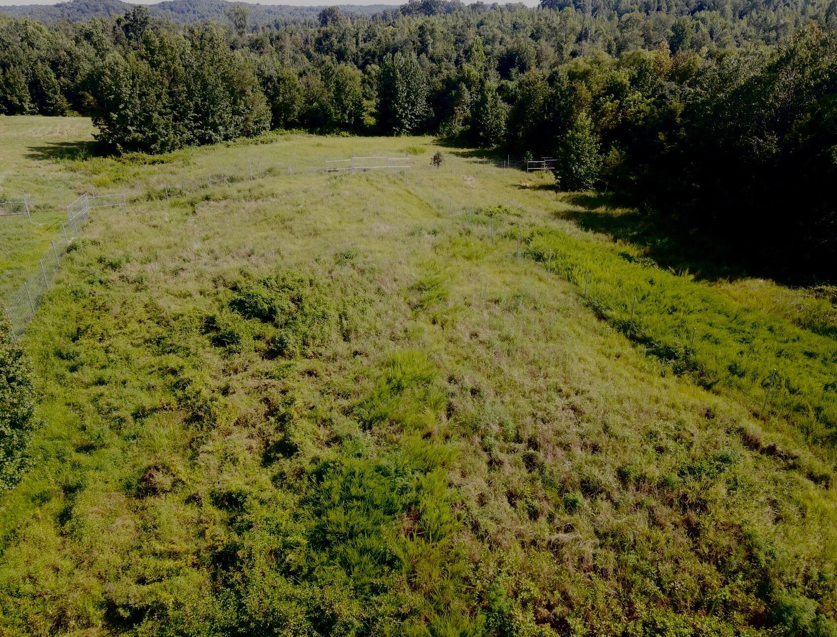 1785 Billie Branch Road Property Photo 12