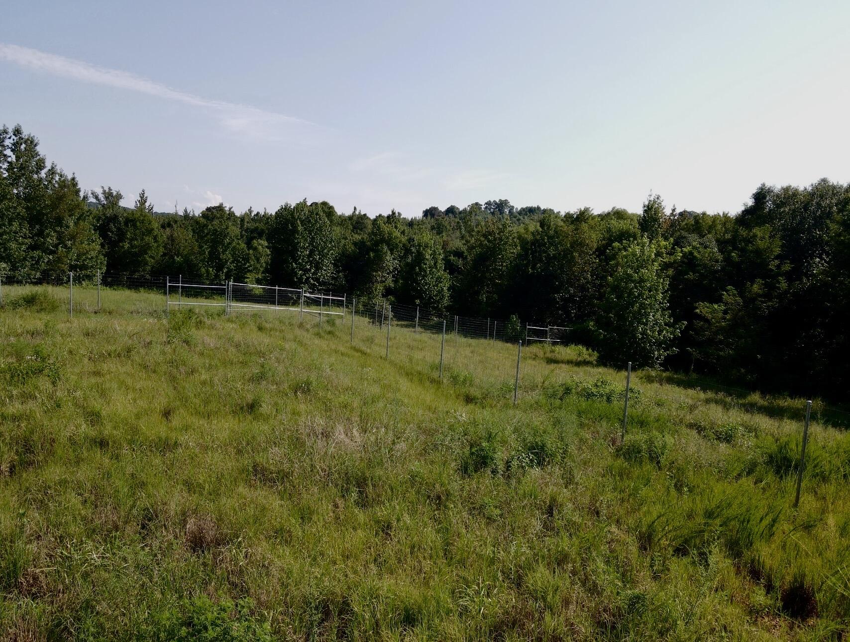 1785 Billie Branch Road Property Photo 13