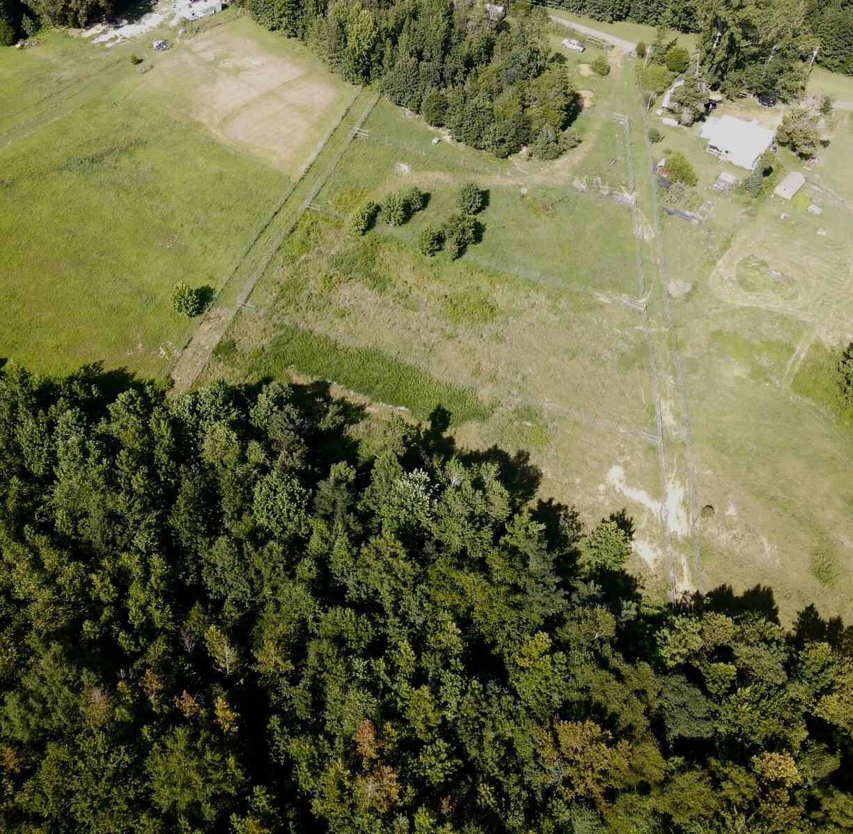 1785 Billie Branch Road Property Photo 16