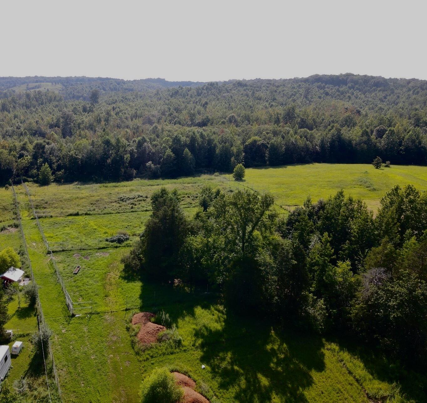1785 Billie Branch Road Property Photo 27