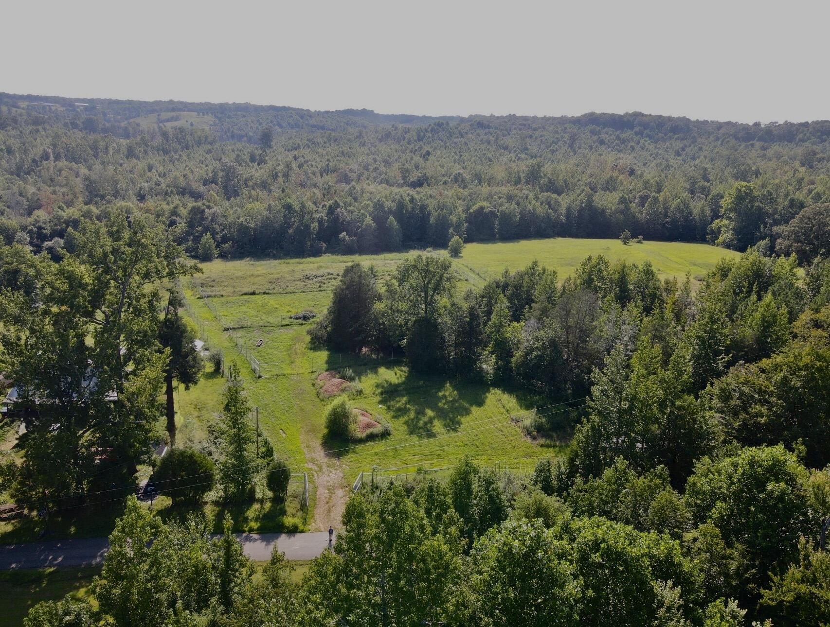 1785 Billie Branch Road Property Photo 28