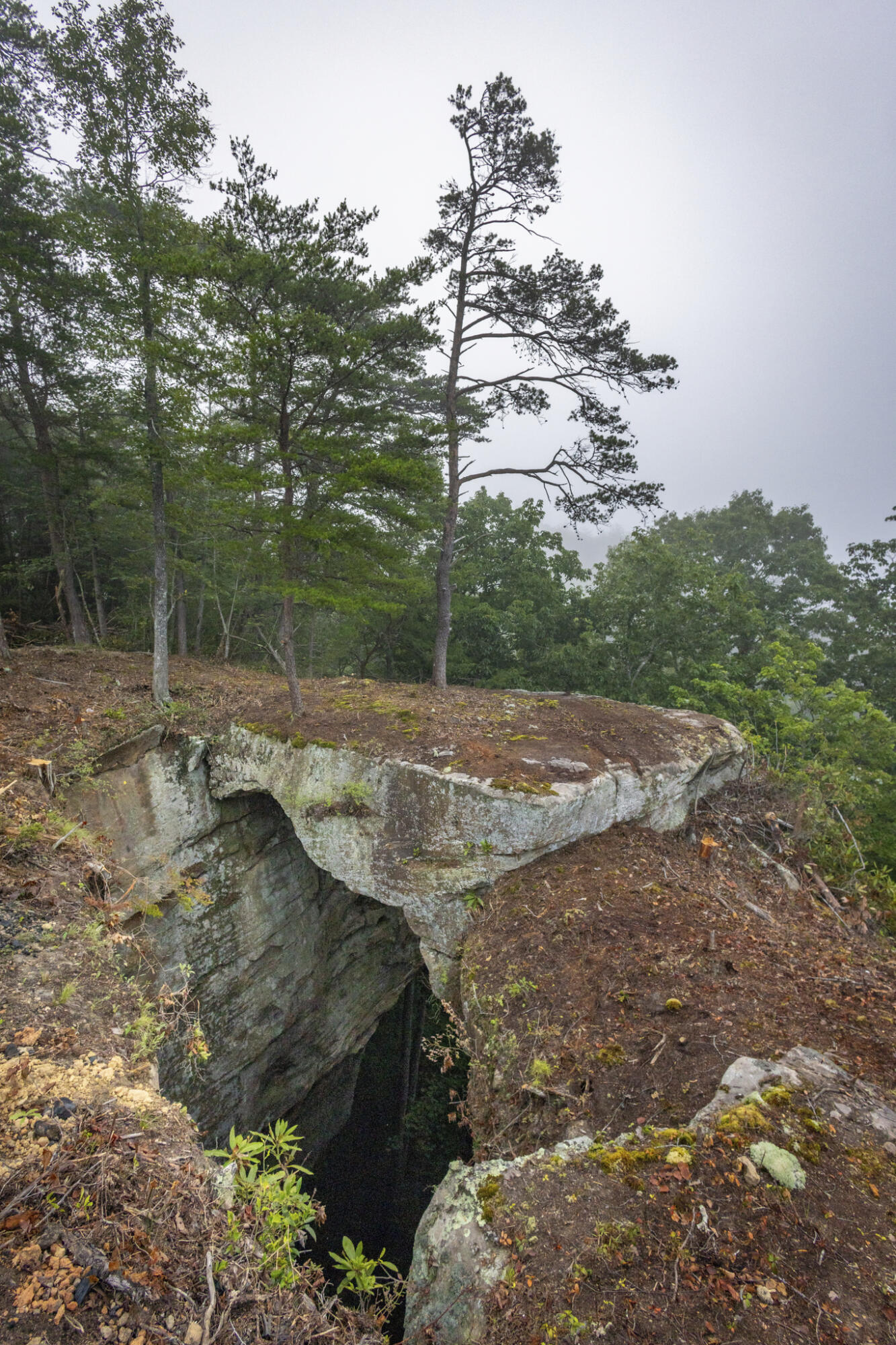 Lot 124-128 Highland Heights Property Photo 4