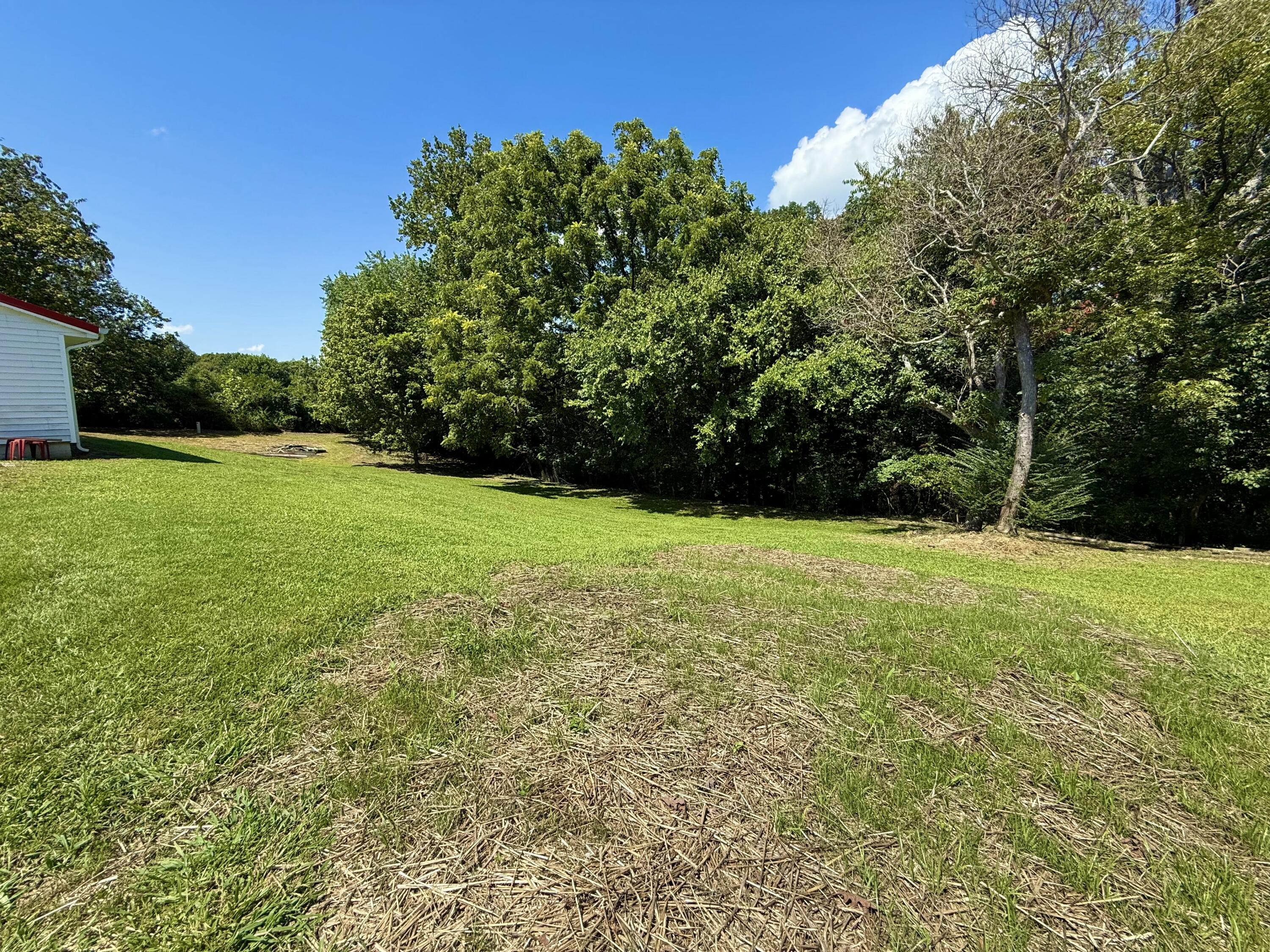 590 Webb Road Property Photo 5