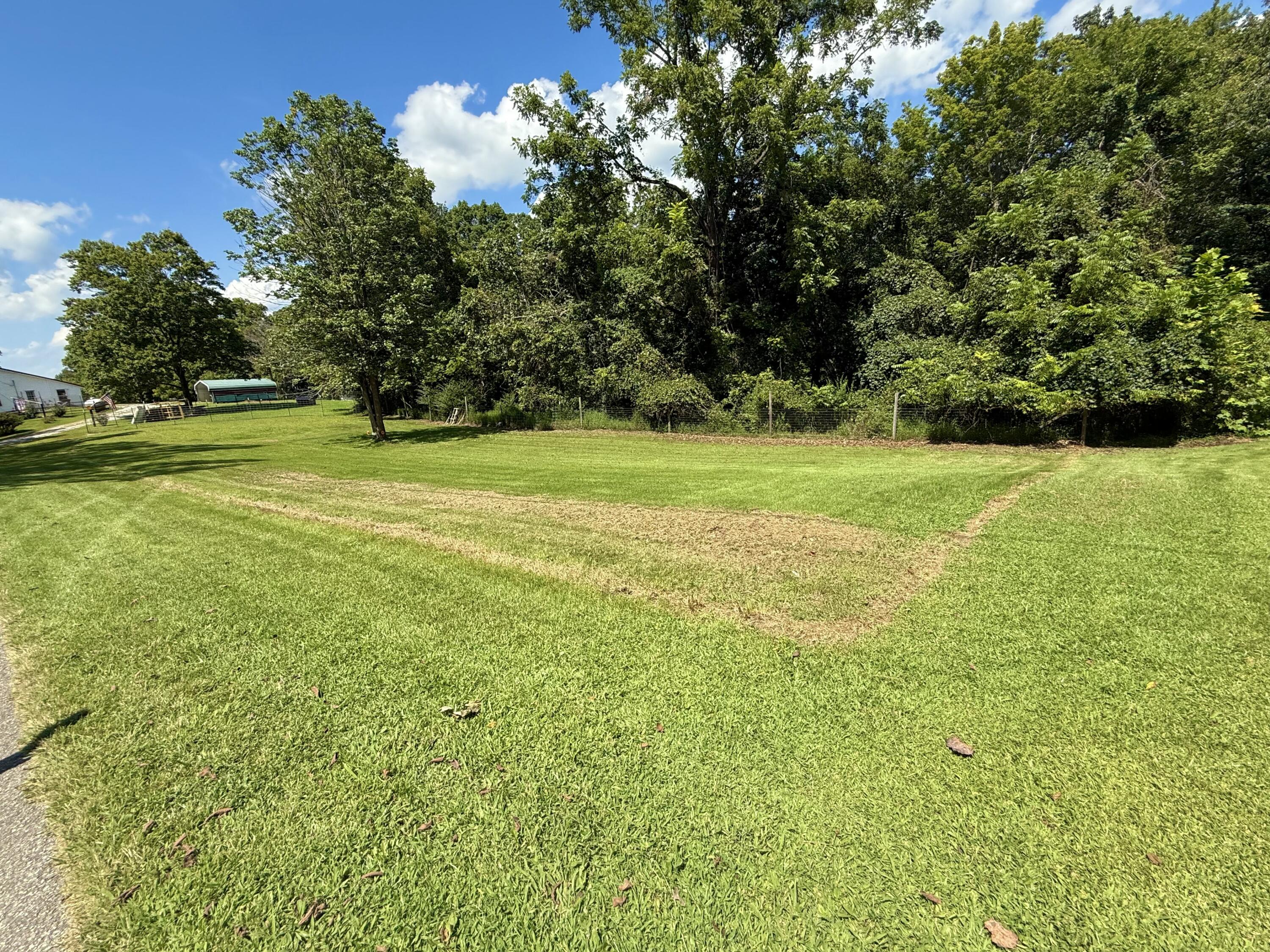 590 Webb Road Property Photo 31