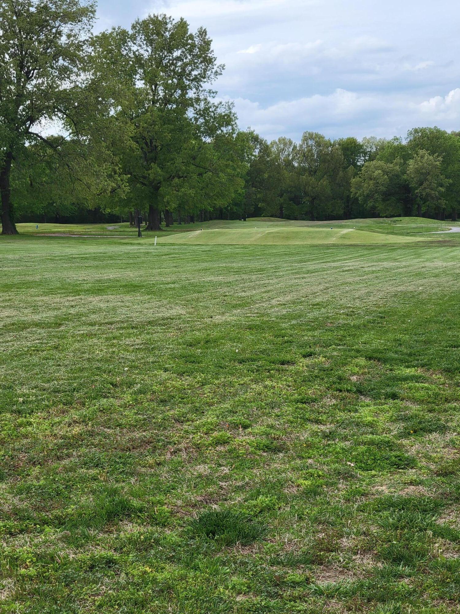 Lot 11 Doral Court Property Photo 2