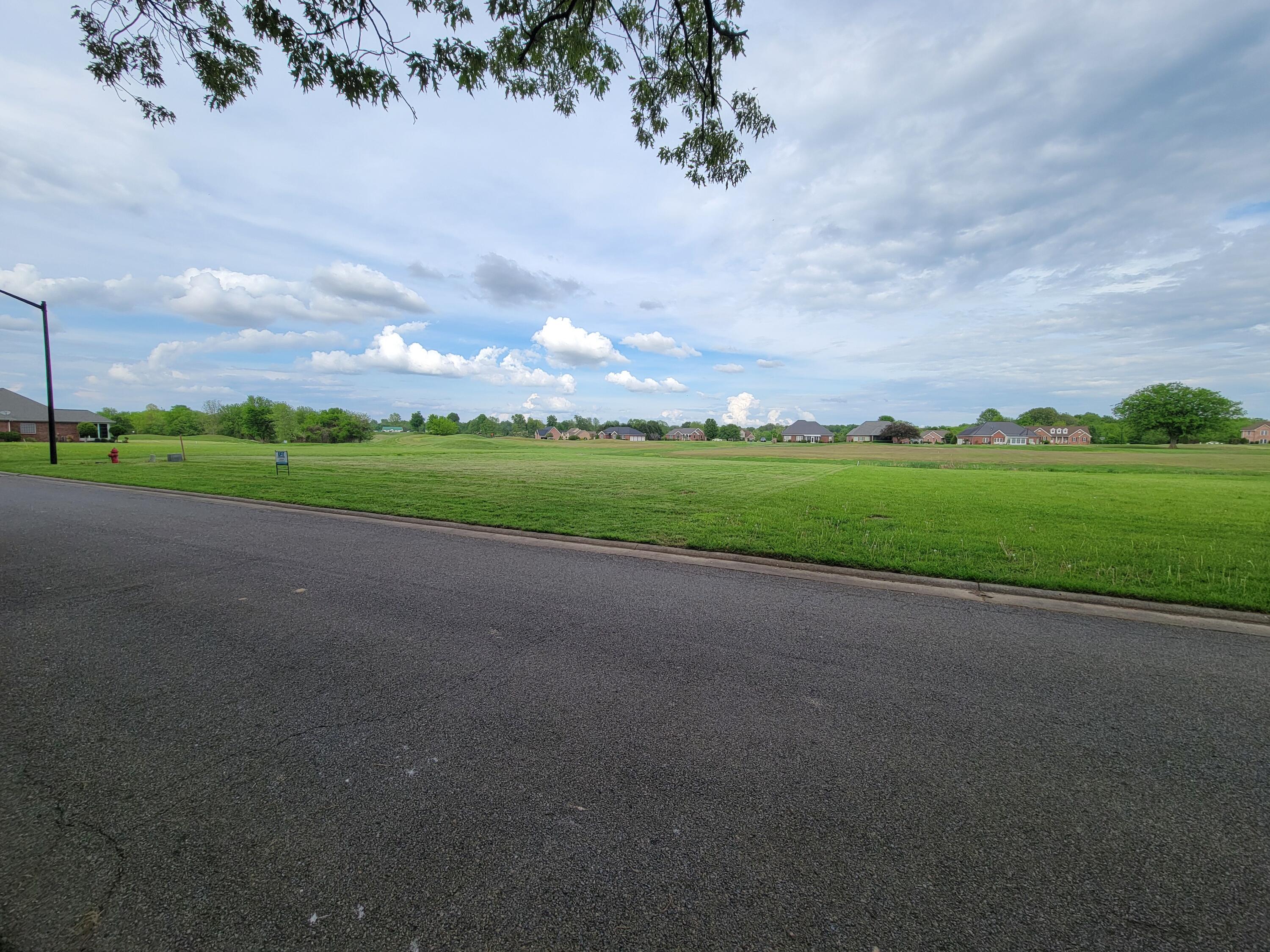 Lot 35 Summerlin Drive Property Photo 2