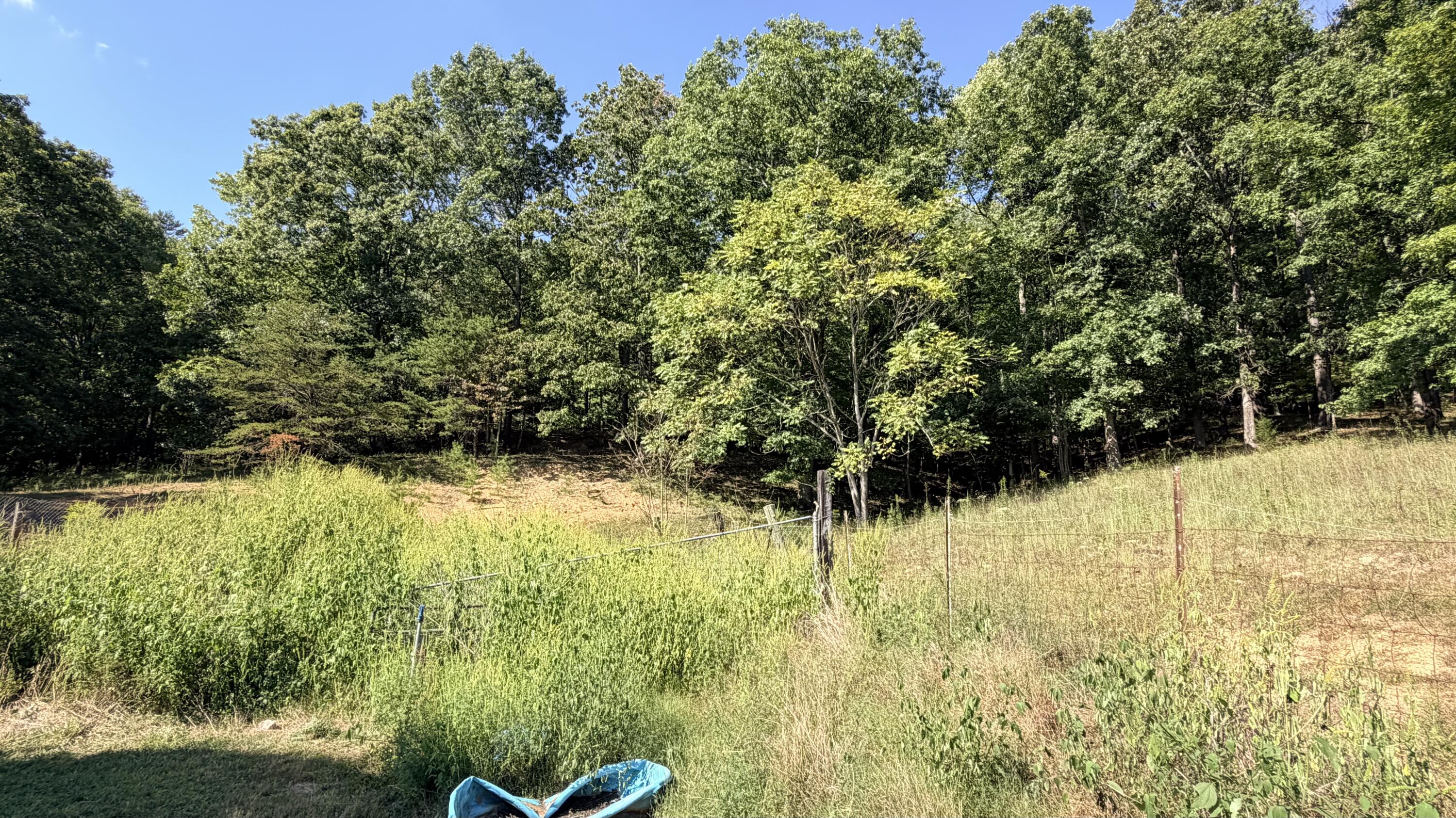 191 Slusher Cemetery Road Property Photo 28