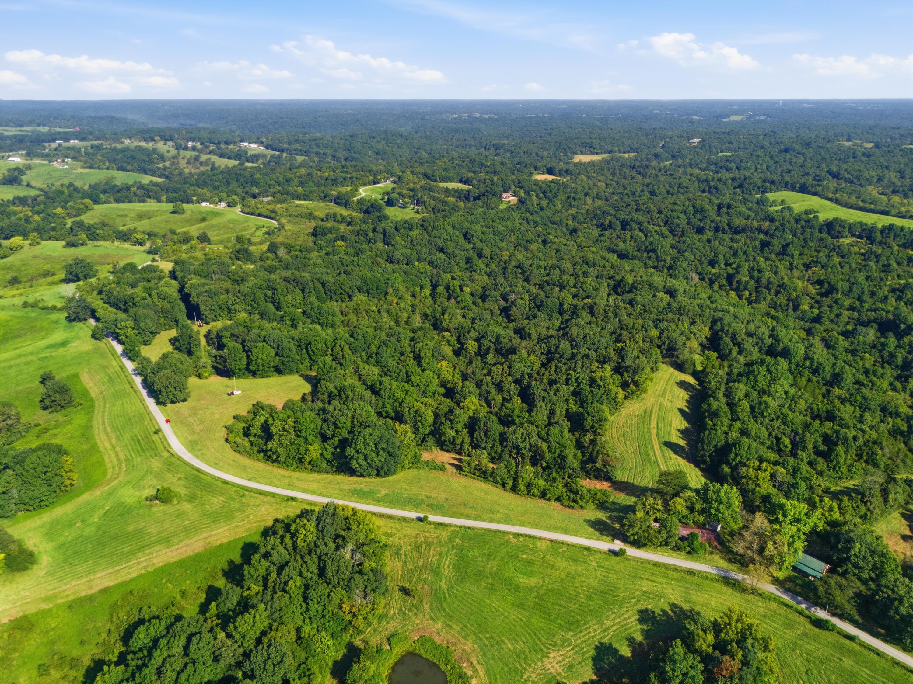 1062 Clay Burgin Road Property Photo 3