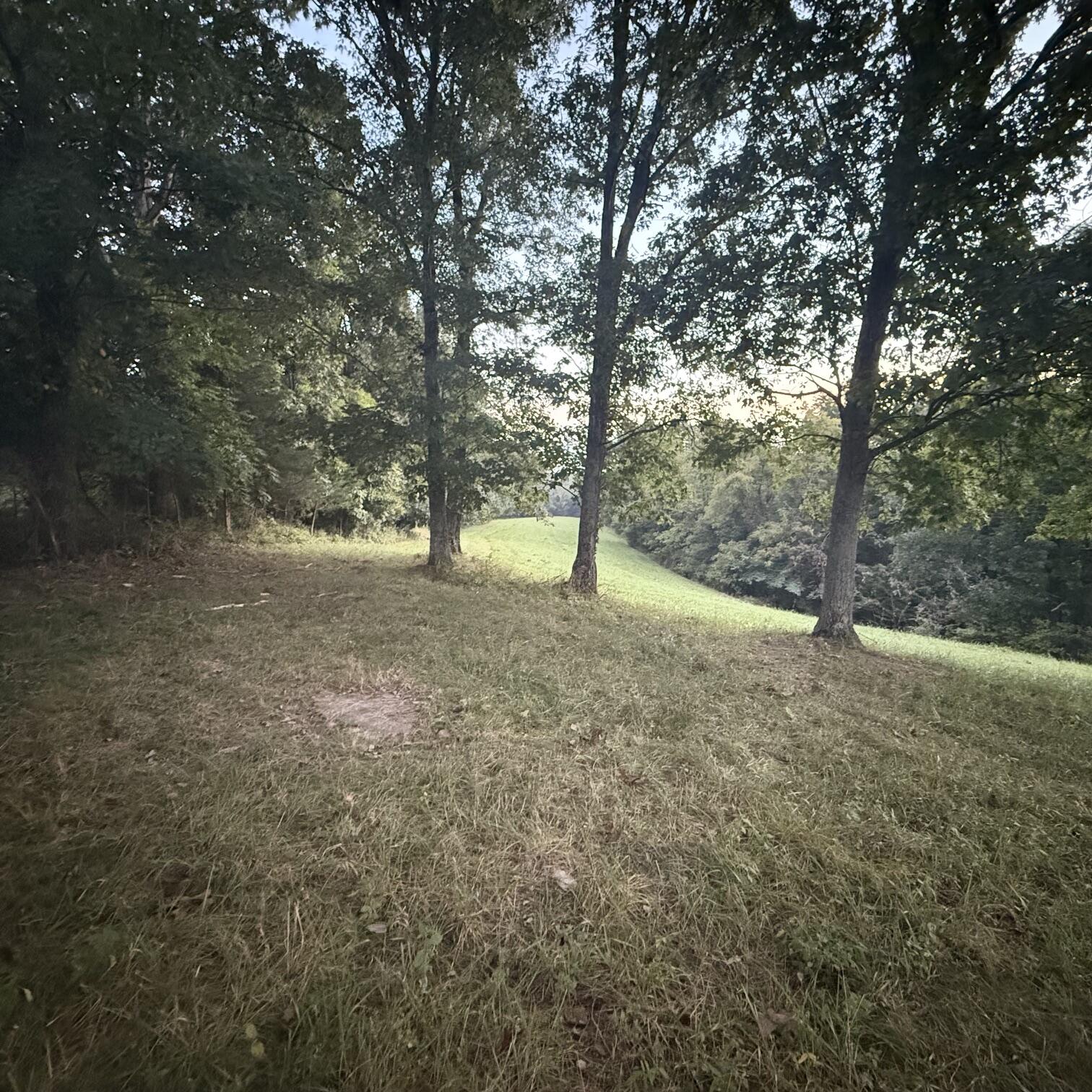 1062 Clay Burgin Road Property Photo 8