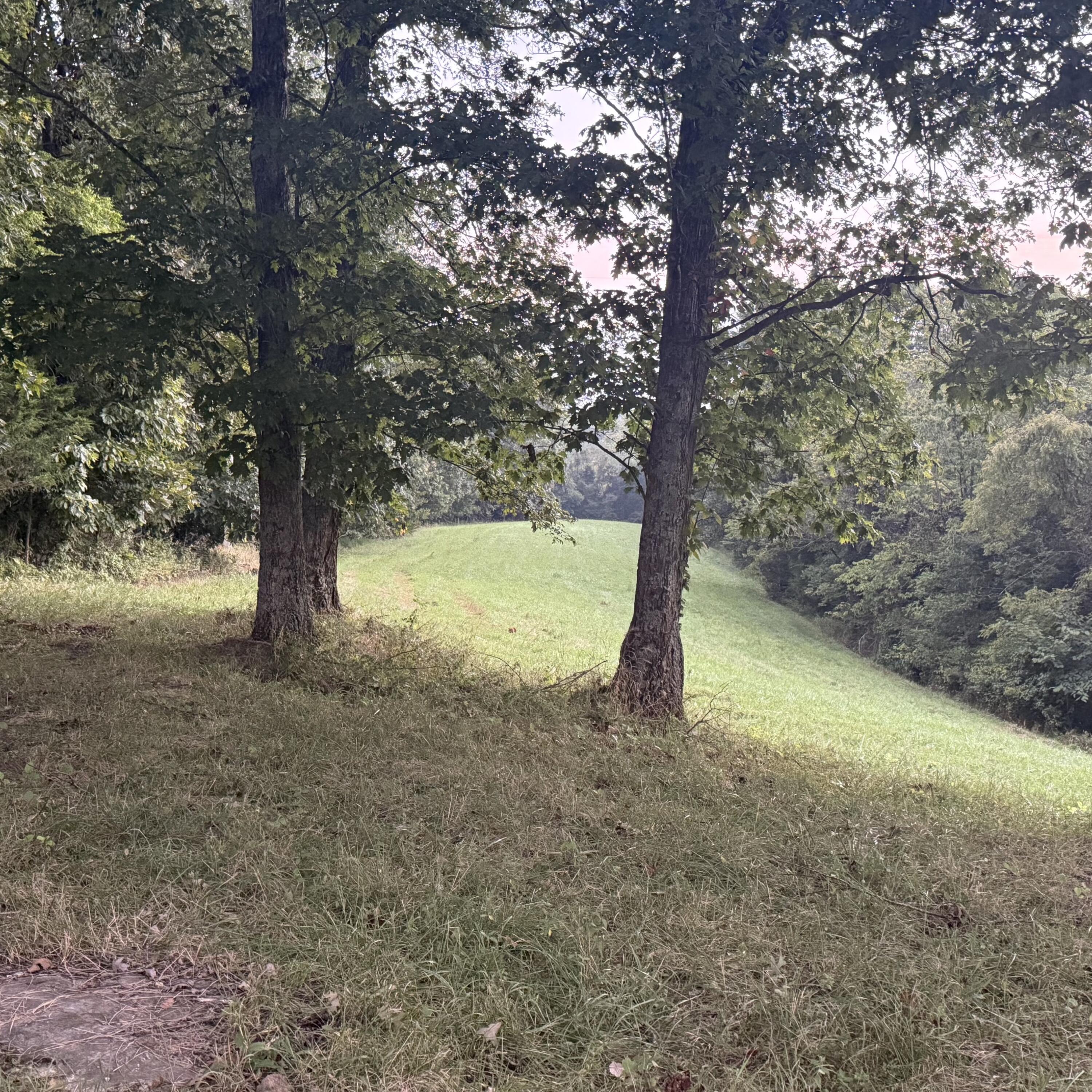 1062 Clay Burgin Road Property Photo 9