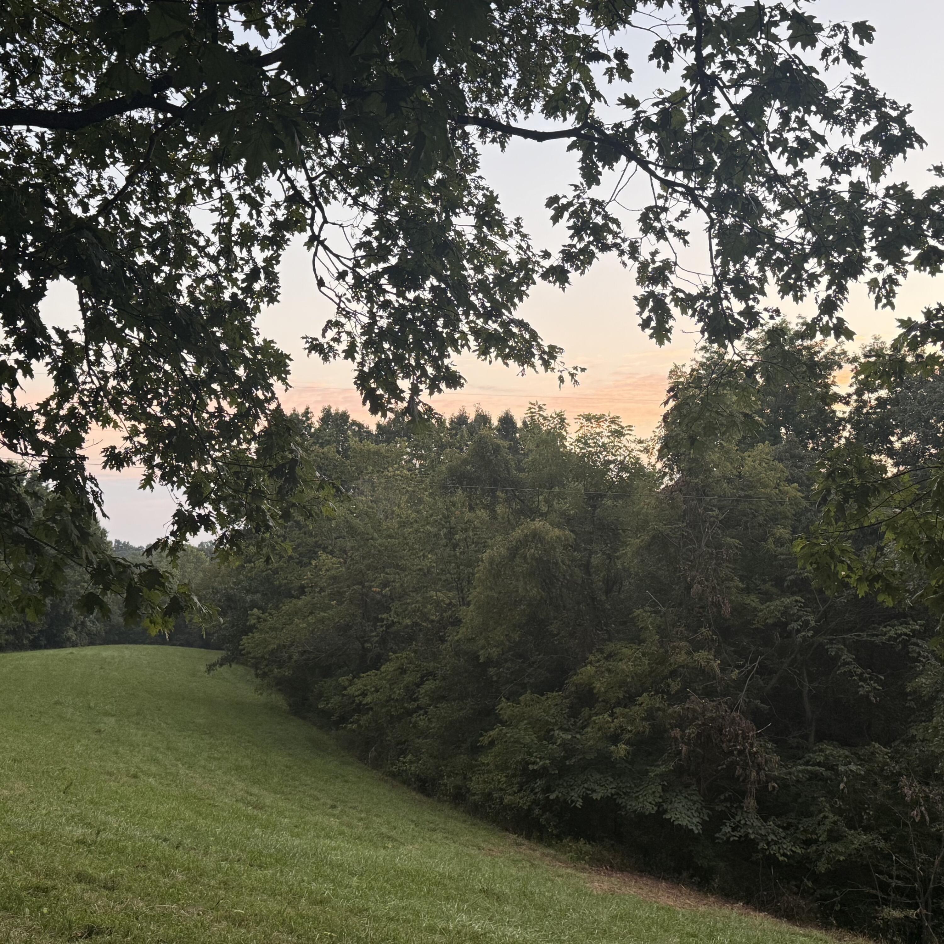 1062 Clay Burgin Road Property Photo 10