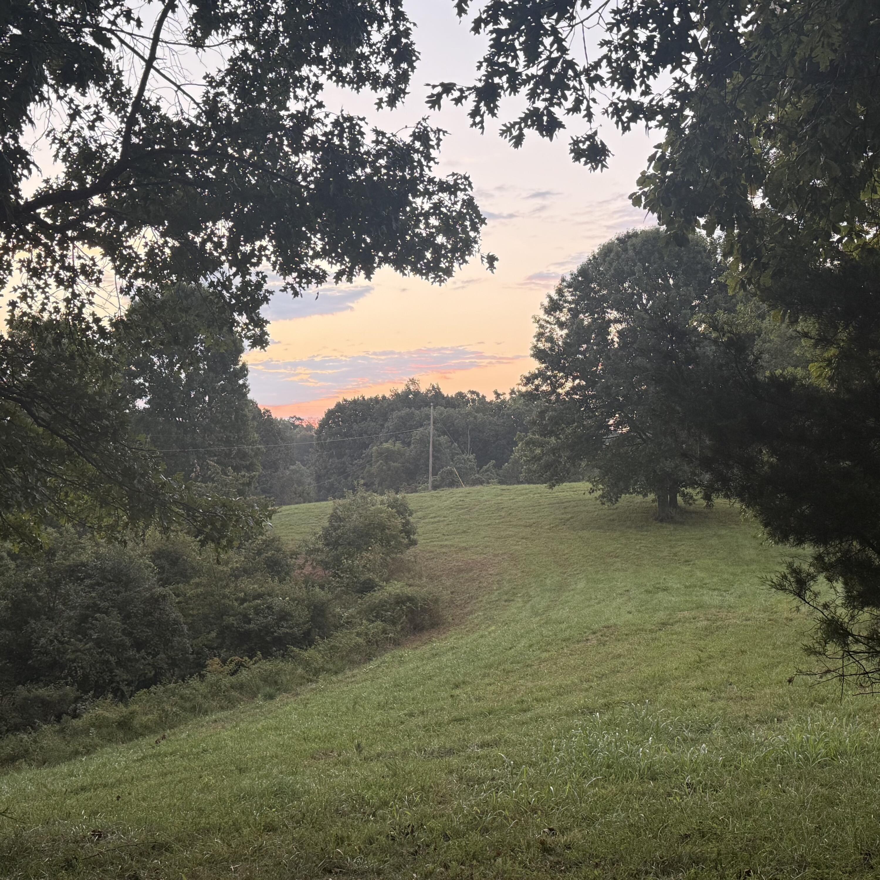 1062 Clay Burgin Road Property Photo 11