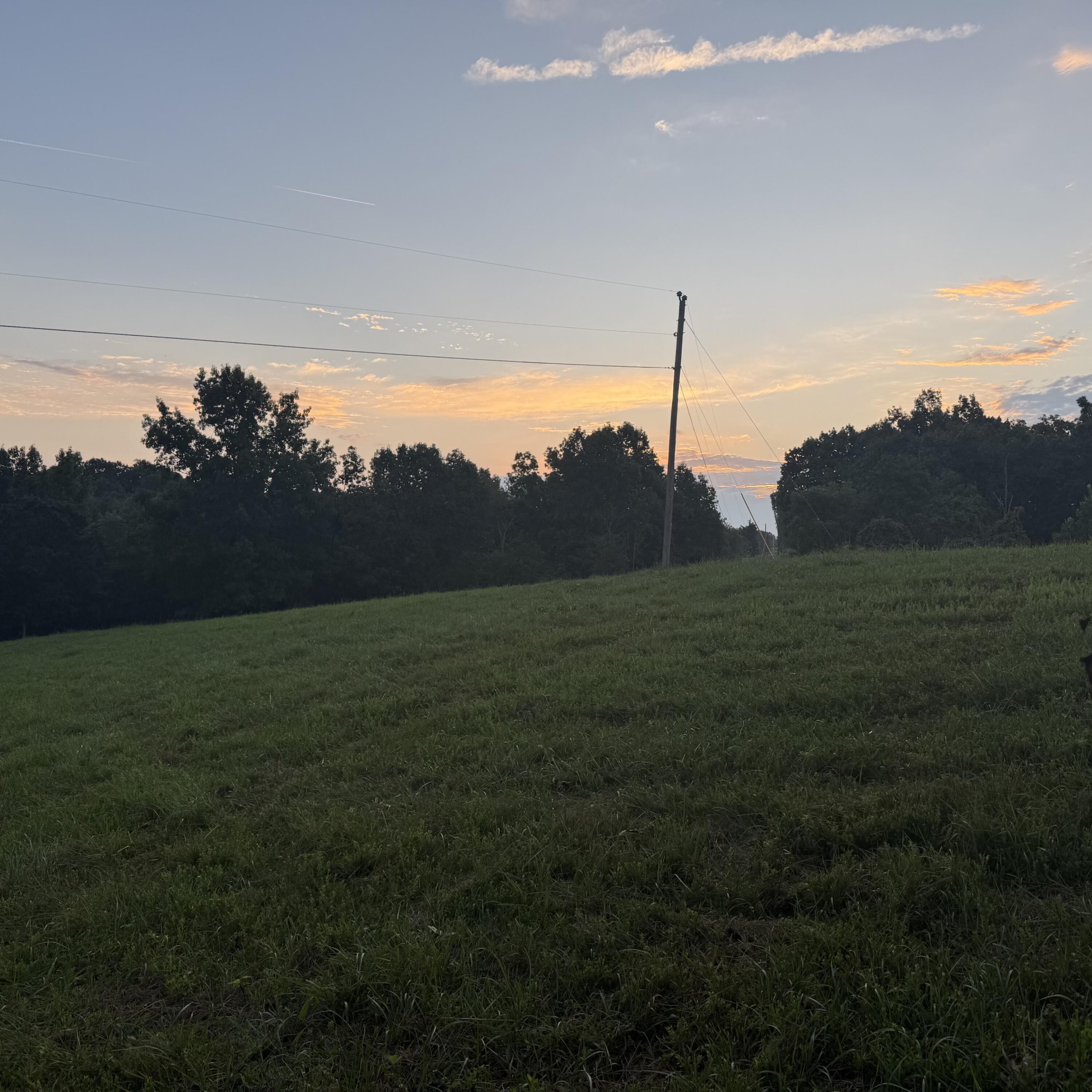 1062 Clay Burgin Road Property Photo 13