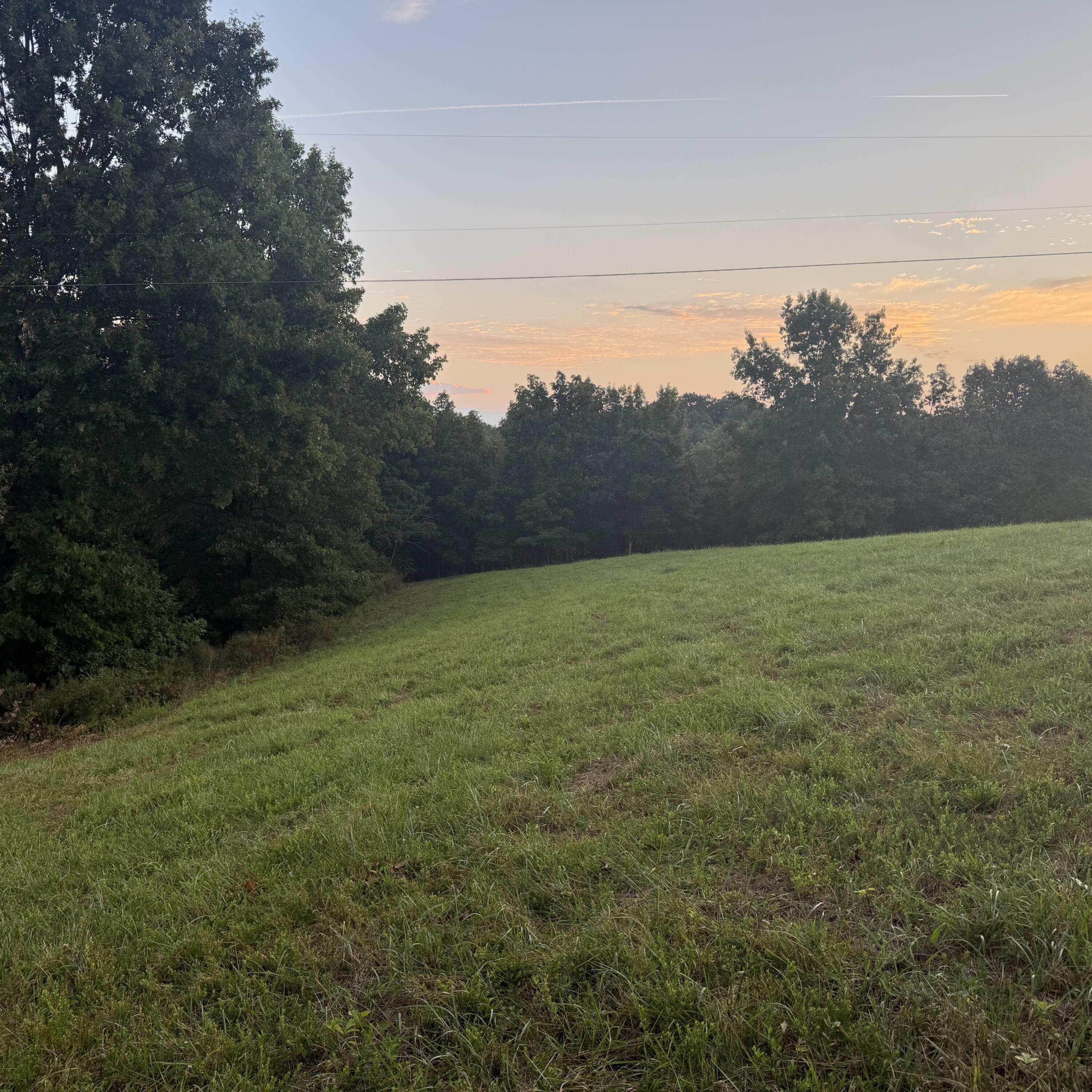 1062 Clay Burgin Road Property Photo 14
