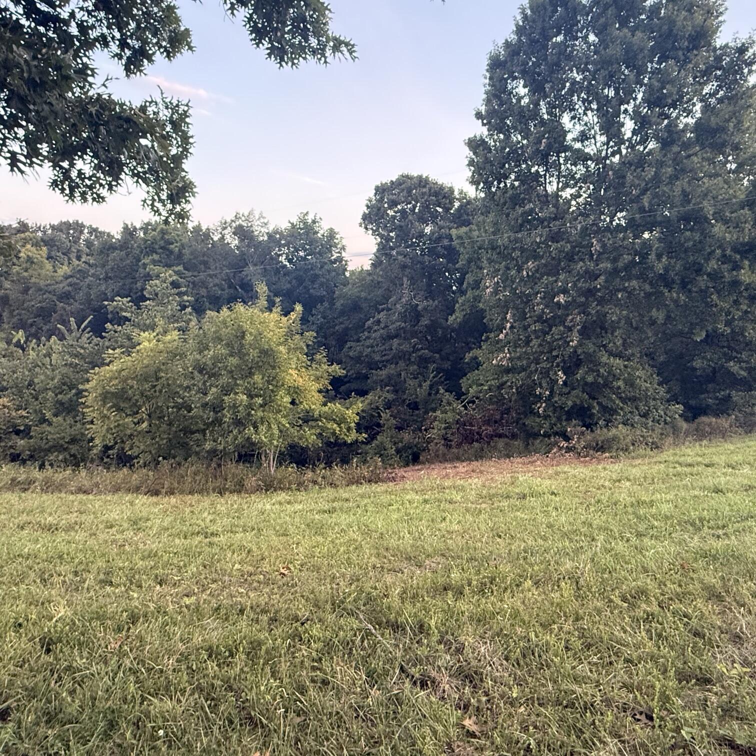 1062 Clay Burgin Road Property Photo 15