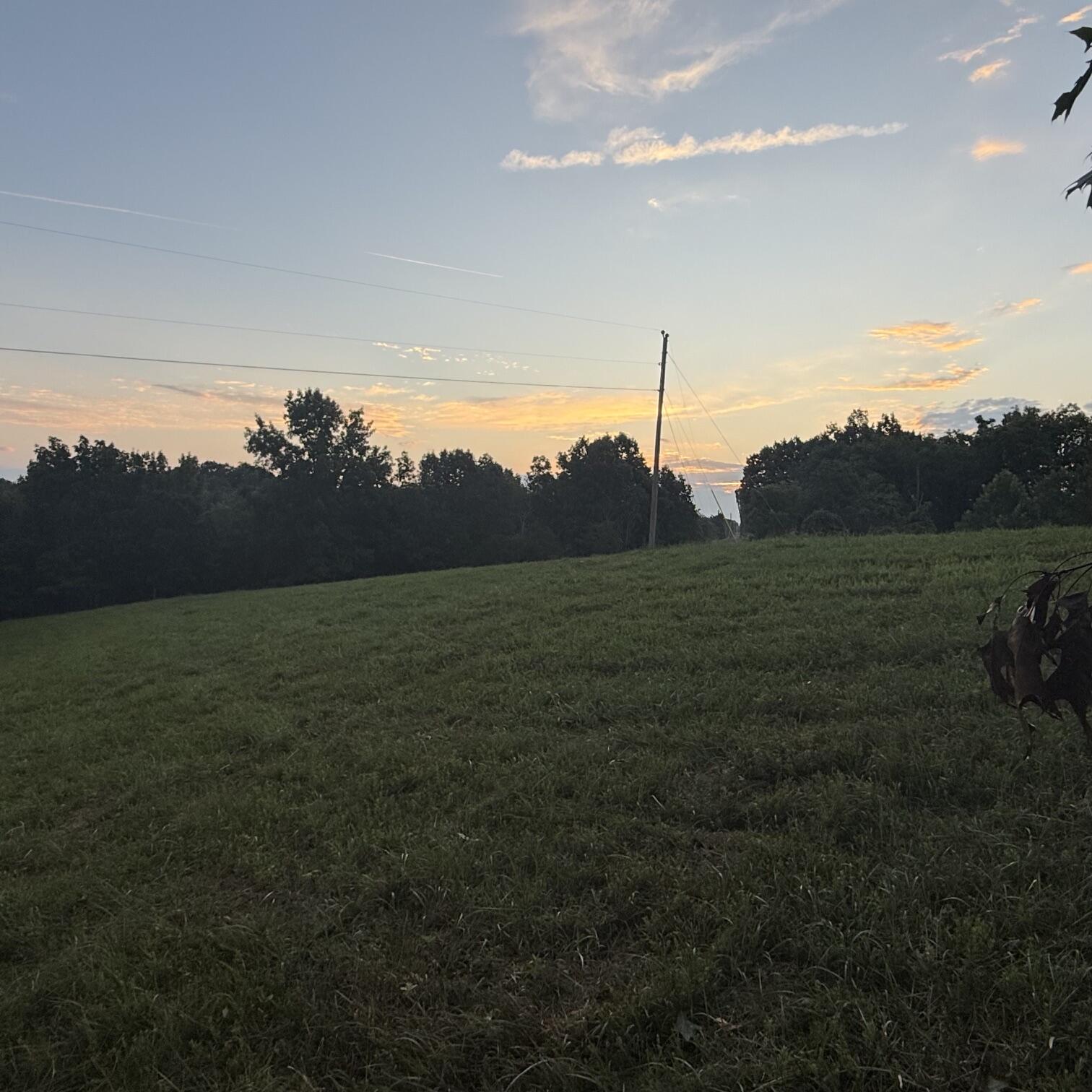 1062 Clay Burgin Road Property Photo 16