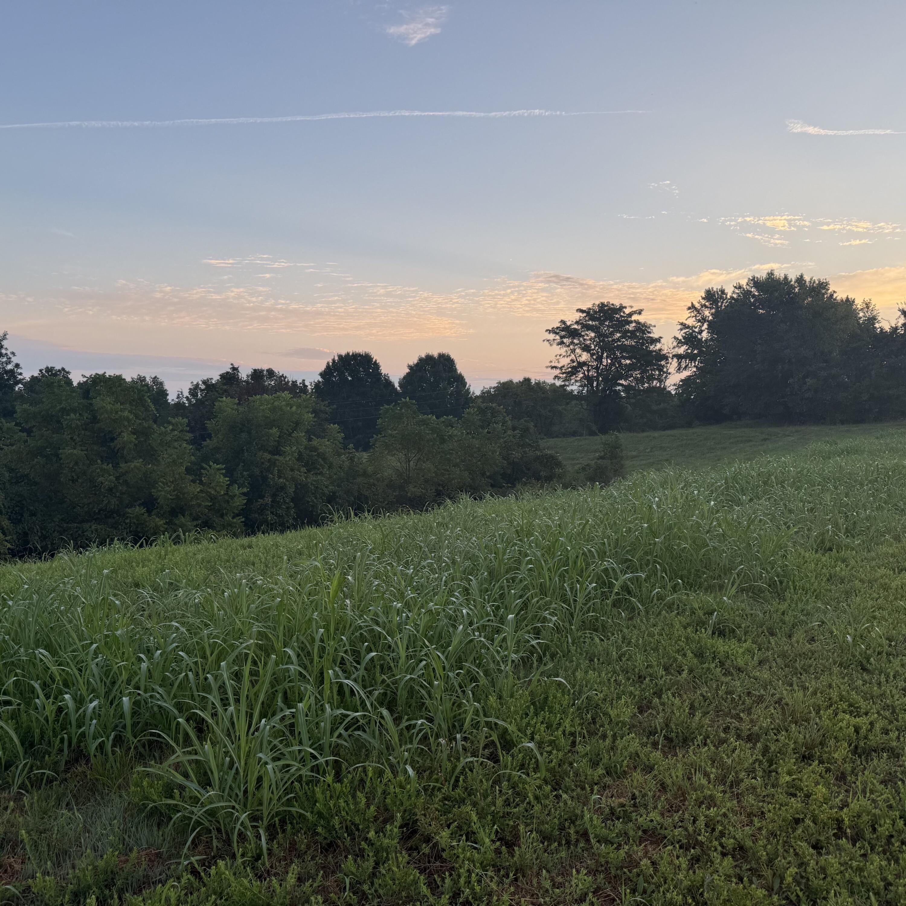 1062 Clay Burgin Road Property Photo 17