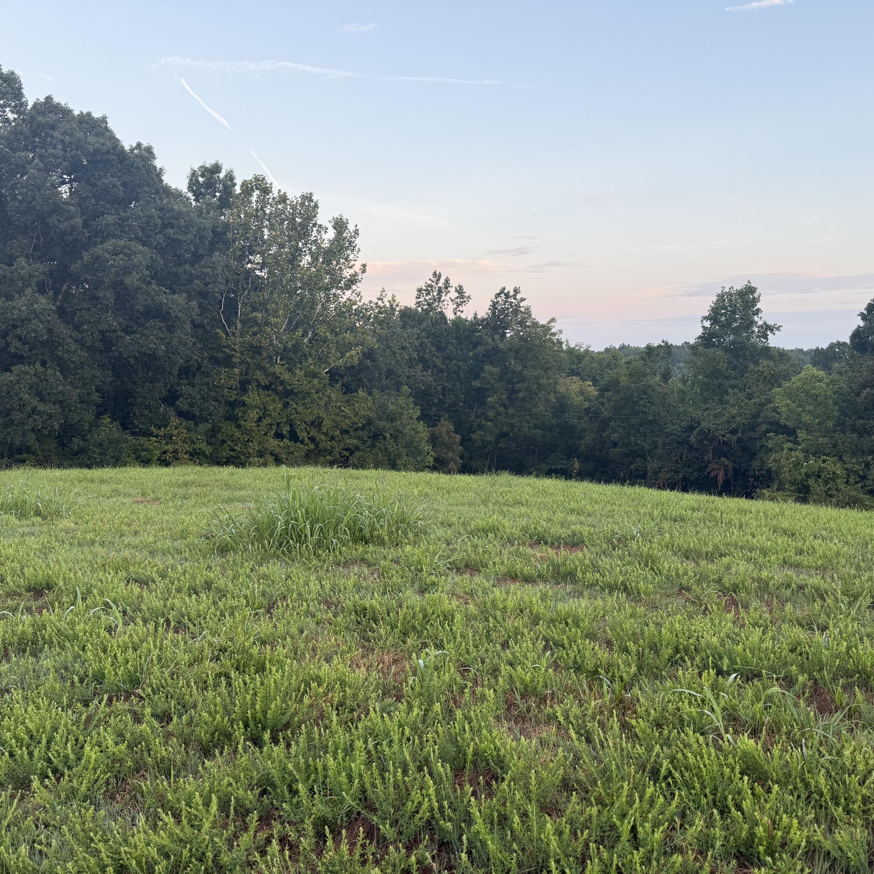 1062 Clay Burgin Road Property Photo 18