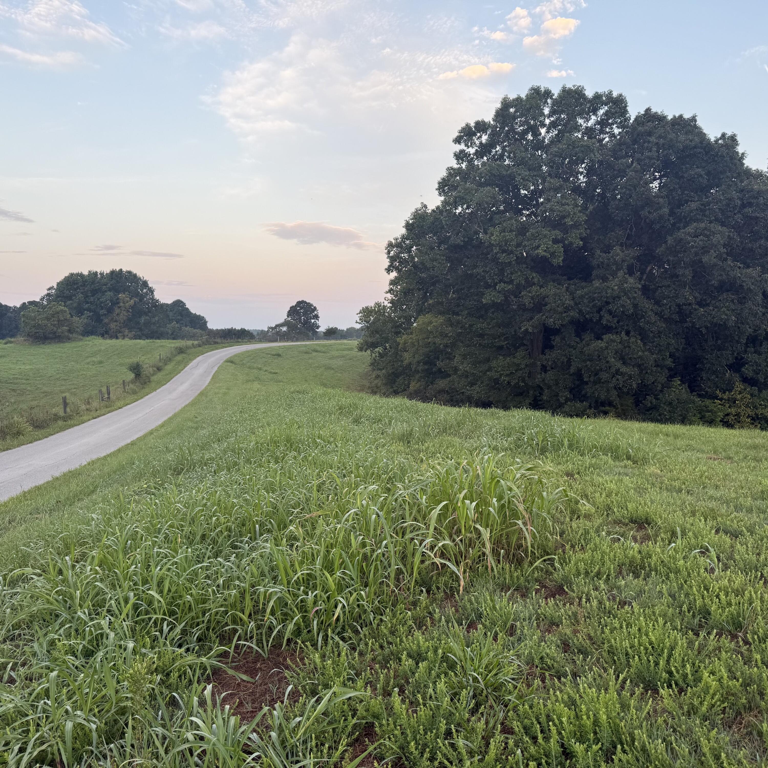 1062 Clay Burgin Road Property Photo 19