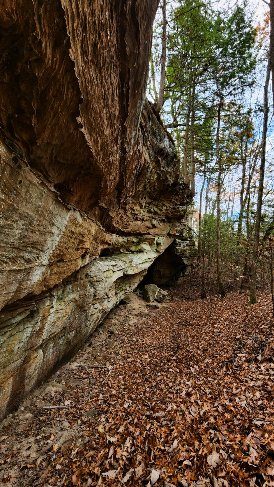 3101 Hazel Patch Road Property Photo 1